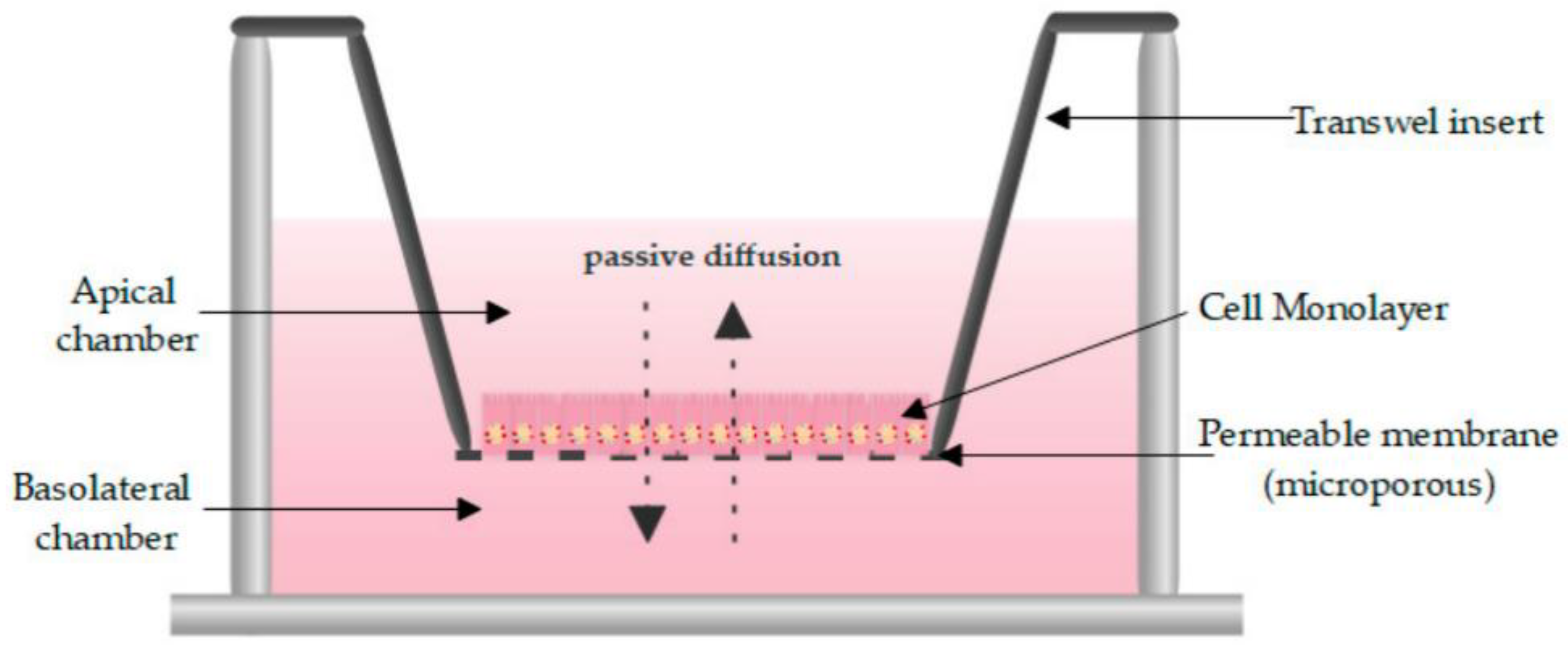 When inserting. Фильтр Transwell.