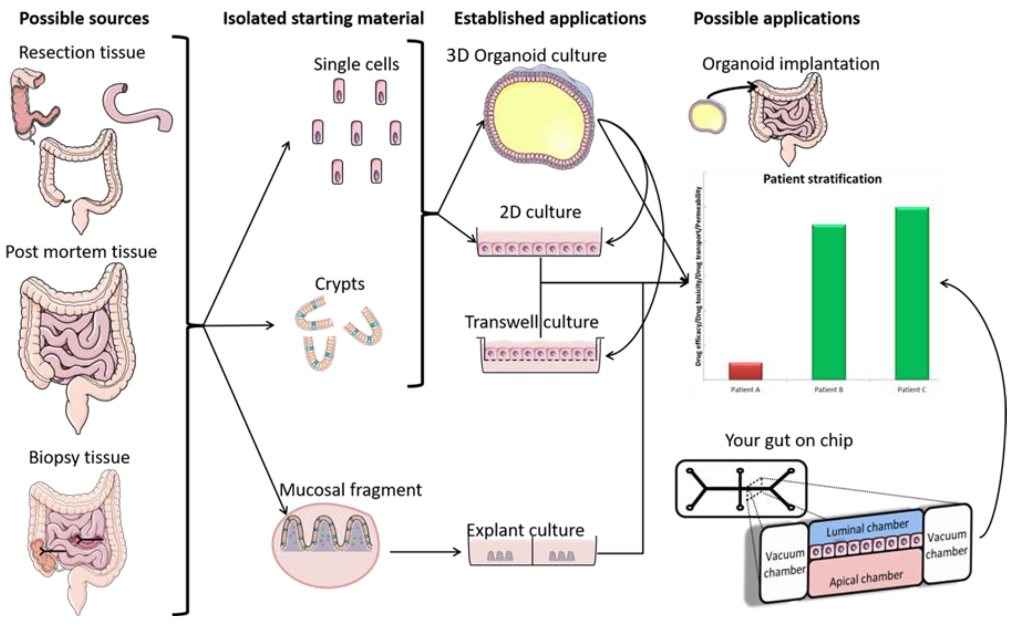 Pharmaceutics 13 00161 g004 Pharmaceutics 13 00161 g004