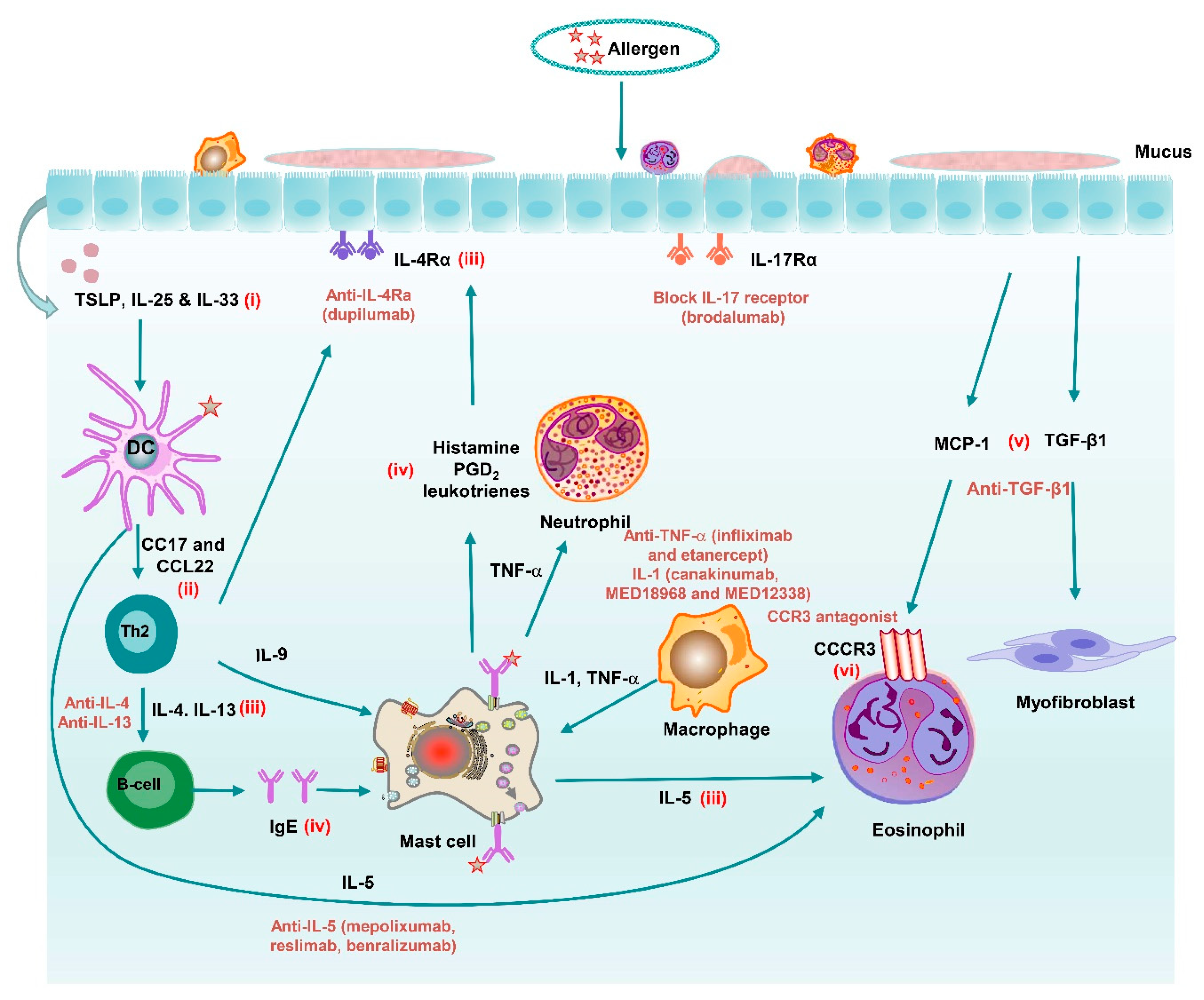 Pharmaceutics 13 00177 g003