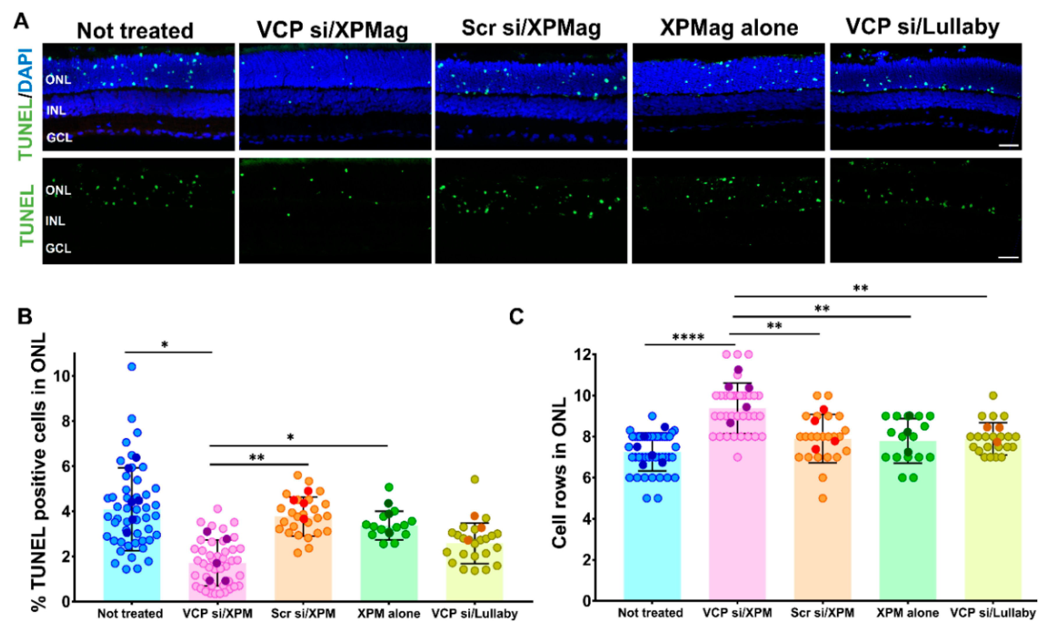 Pharmaceutics 13 00225 g005