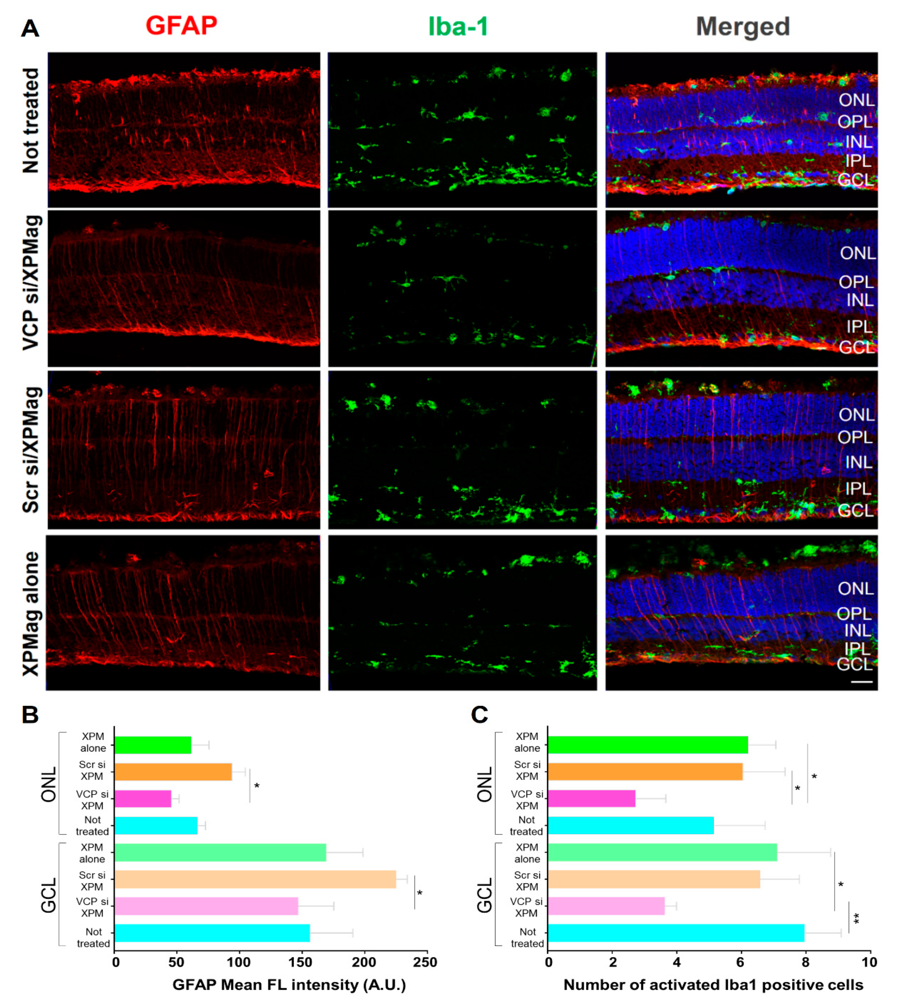 Pharmaceutics 13 00225 g006
