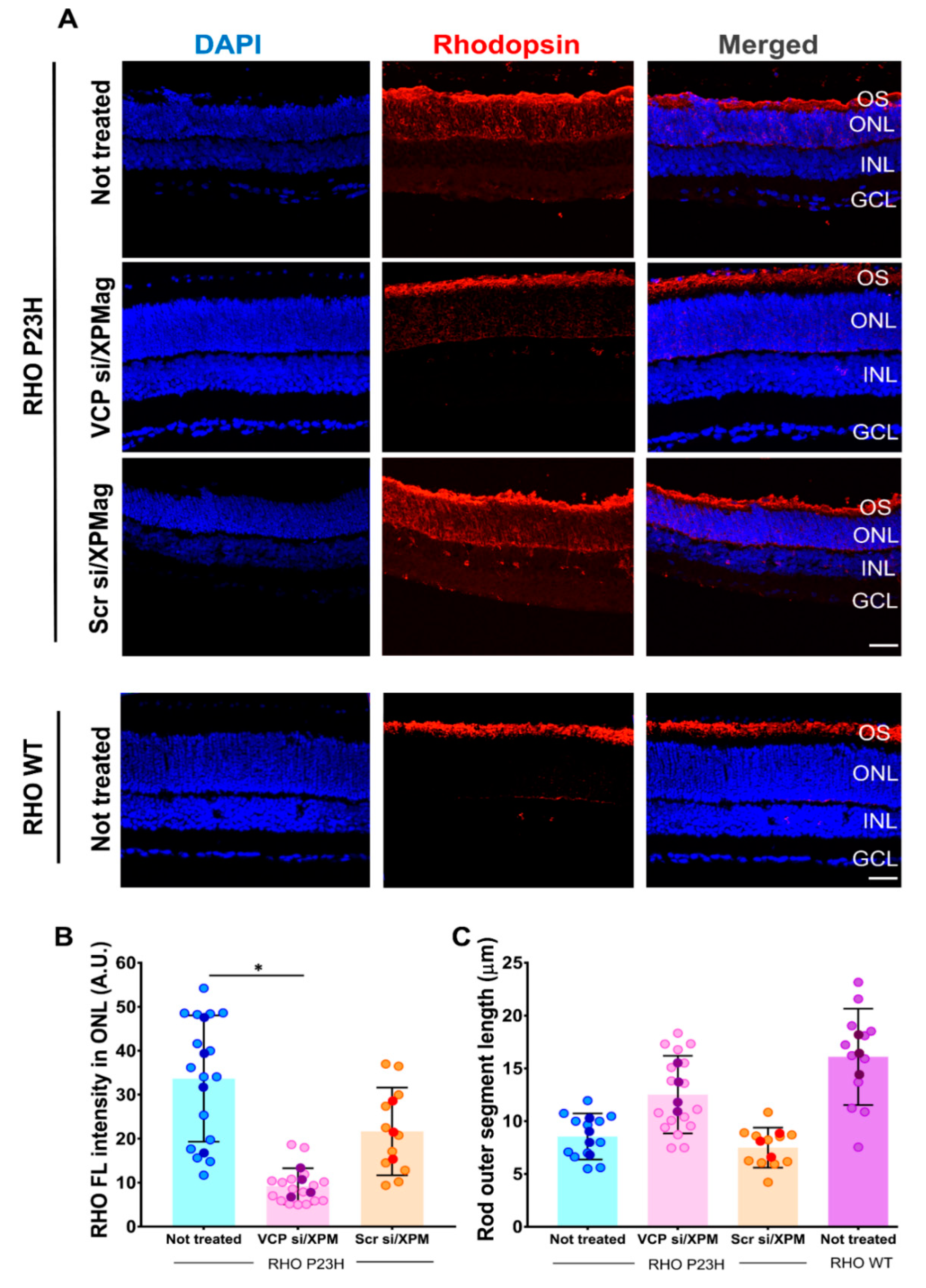 Pharmaceutics 13 00225 g007
