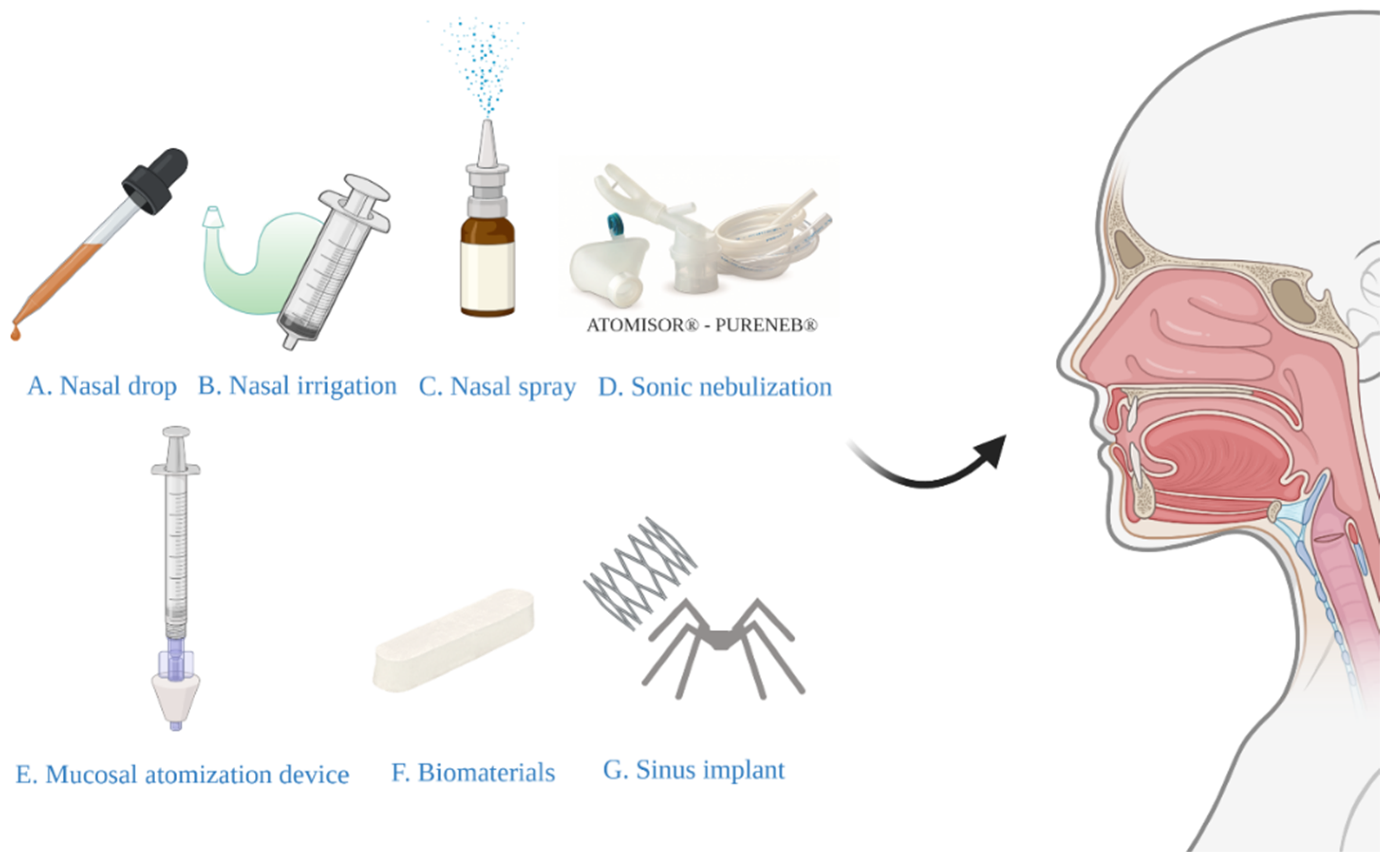Pharmaceutics | Free Full-Text | Current Perspective on Nasal Delivery  Systems for Chronic Rhinosinusitis