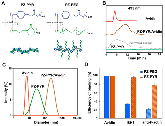 Pharmaceutics | Free Full-Text | Intracellular Delivery of Active ...