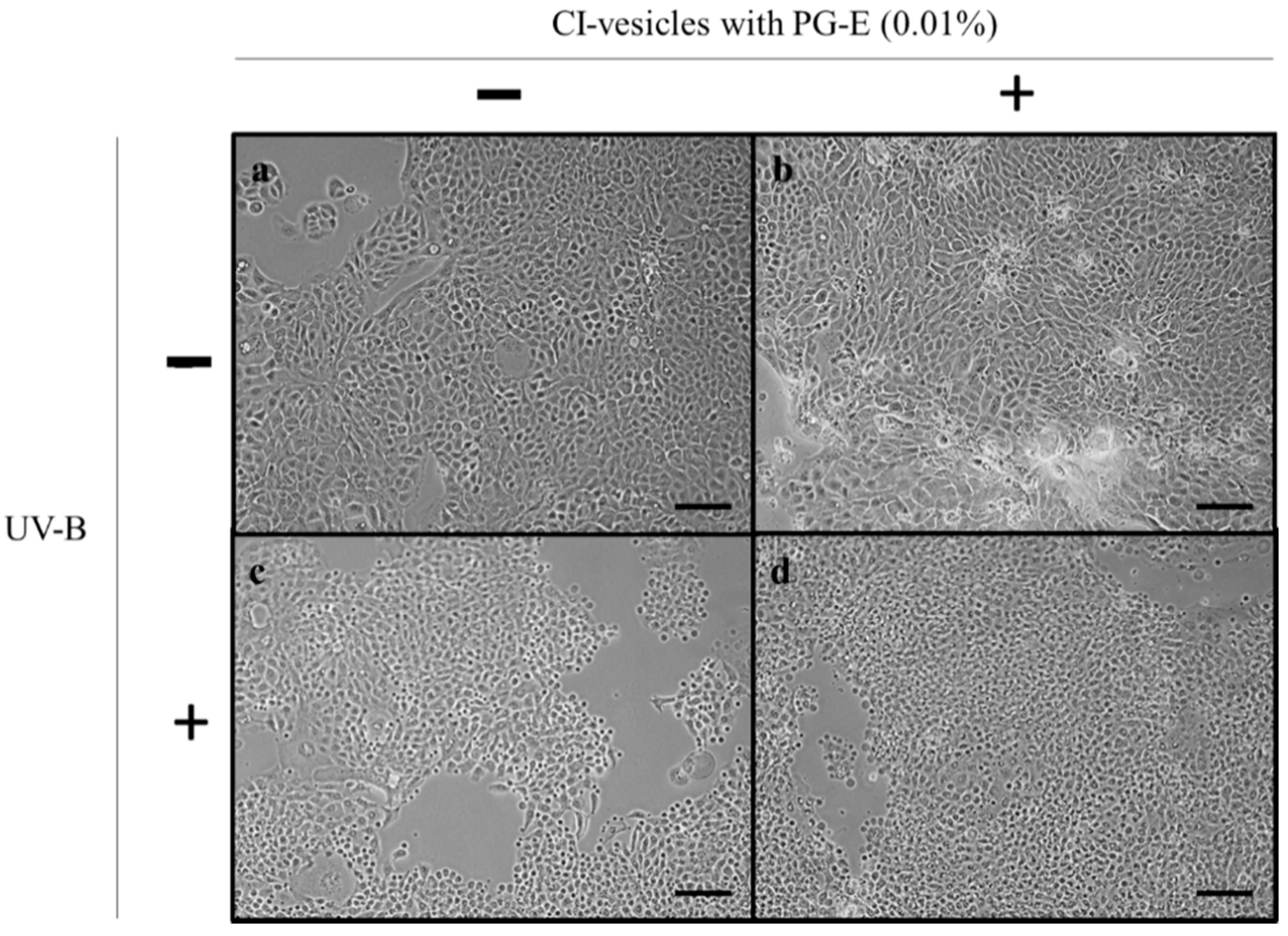 Pharmaceutics 13 00271 g008