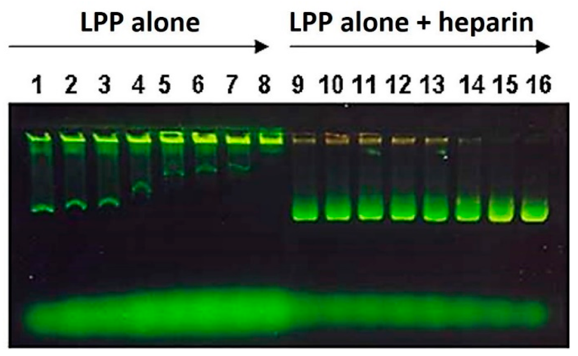 Pharmaceutics 13 00281 g003