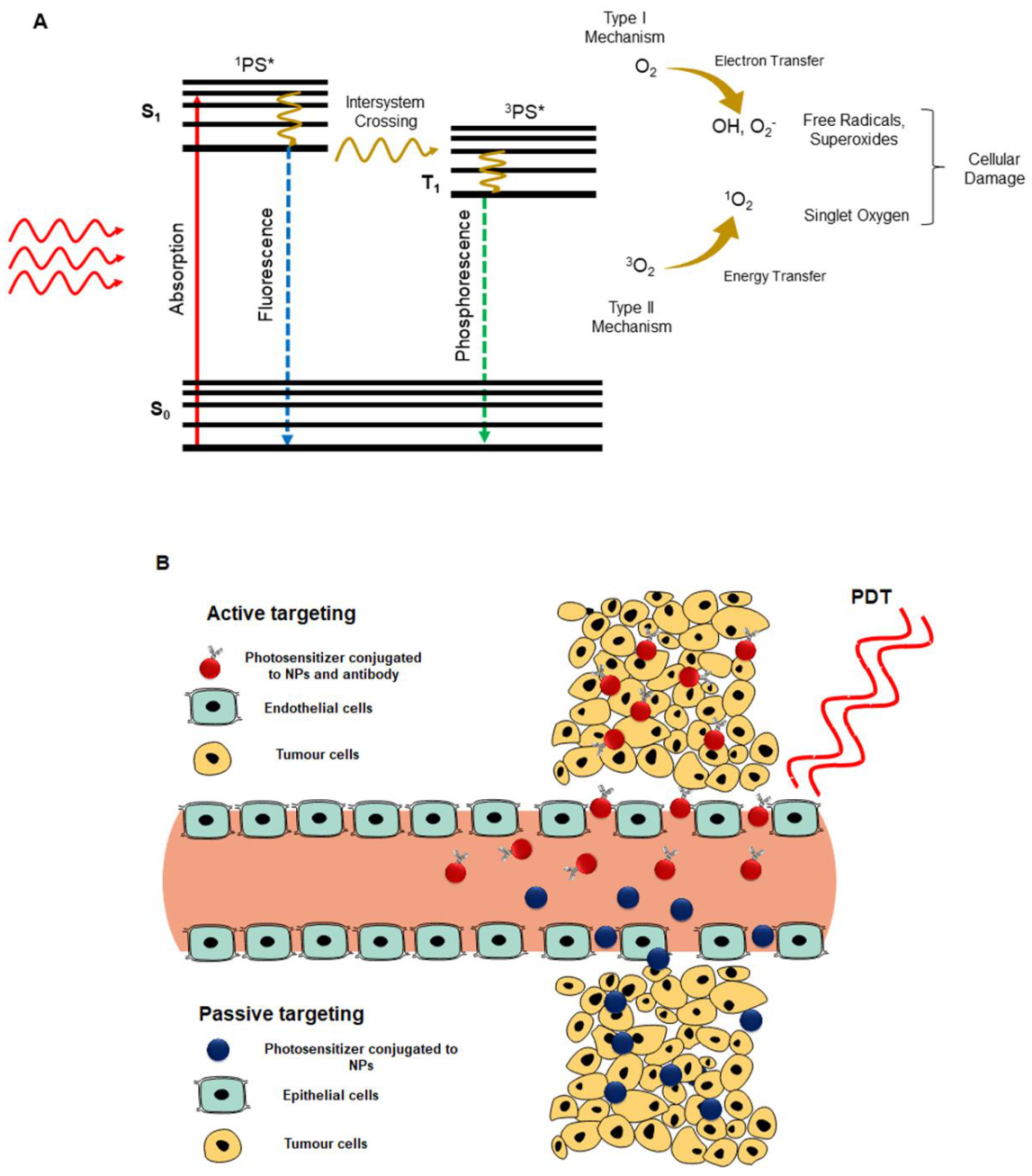 Pharmaceutics 13 00296 g002 Pharmaceutics 13 00296 g002