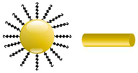 Pharmaceutics 13 00296 i001 Pharmaceutics 13 00296 i001