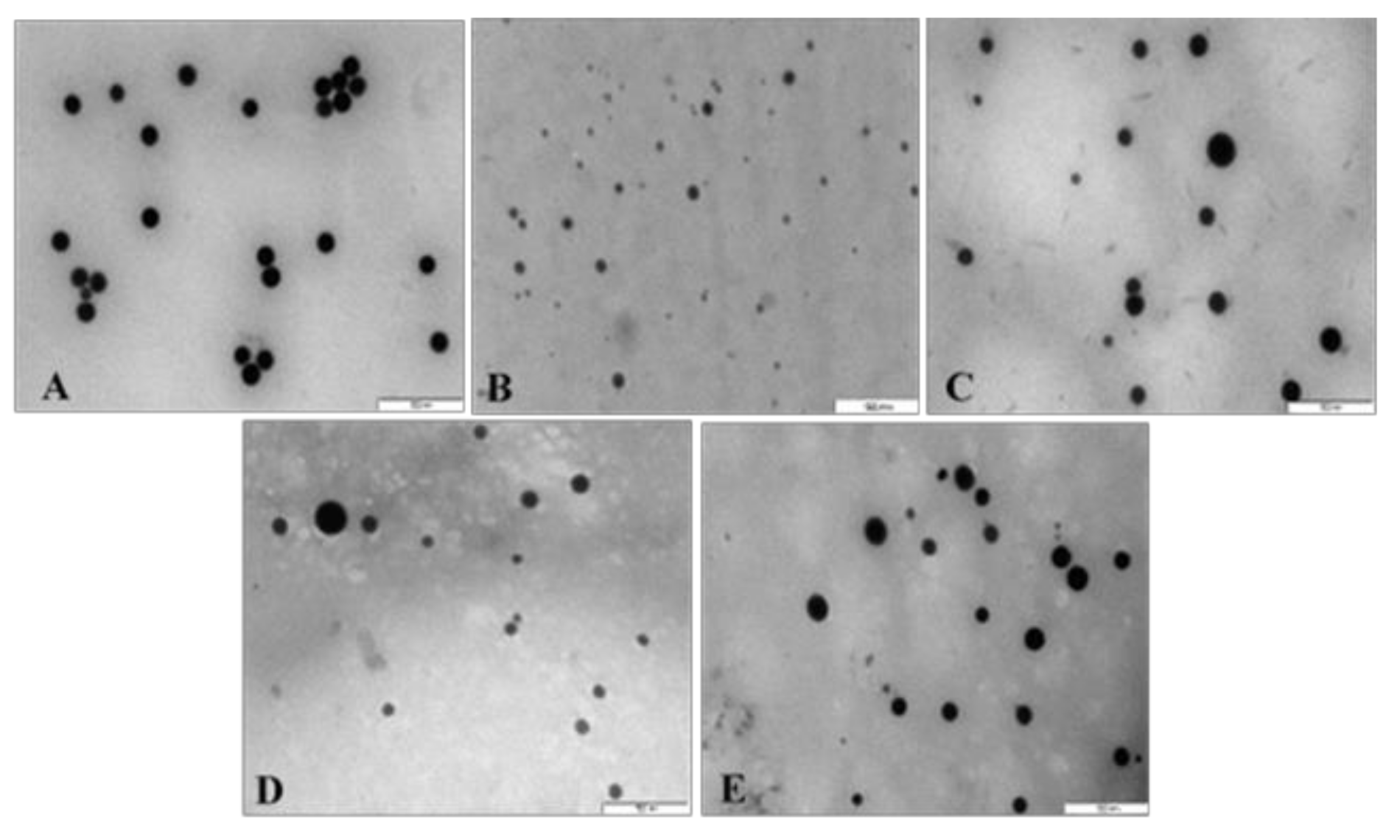 Pharmaceutics 13 00298 g004