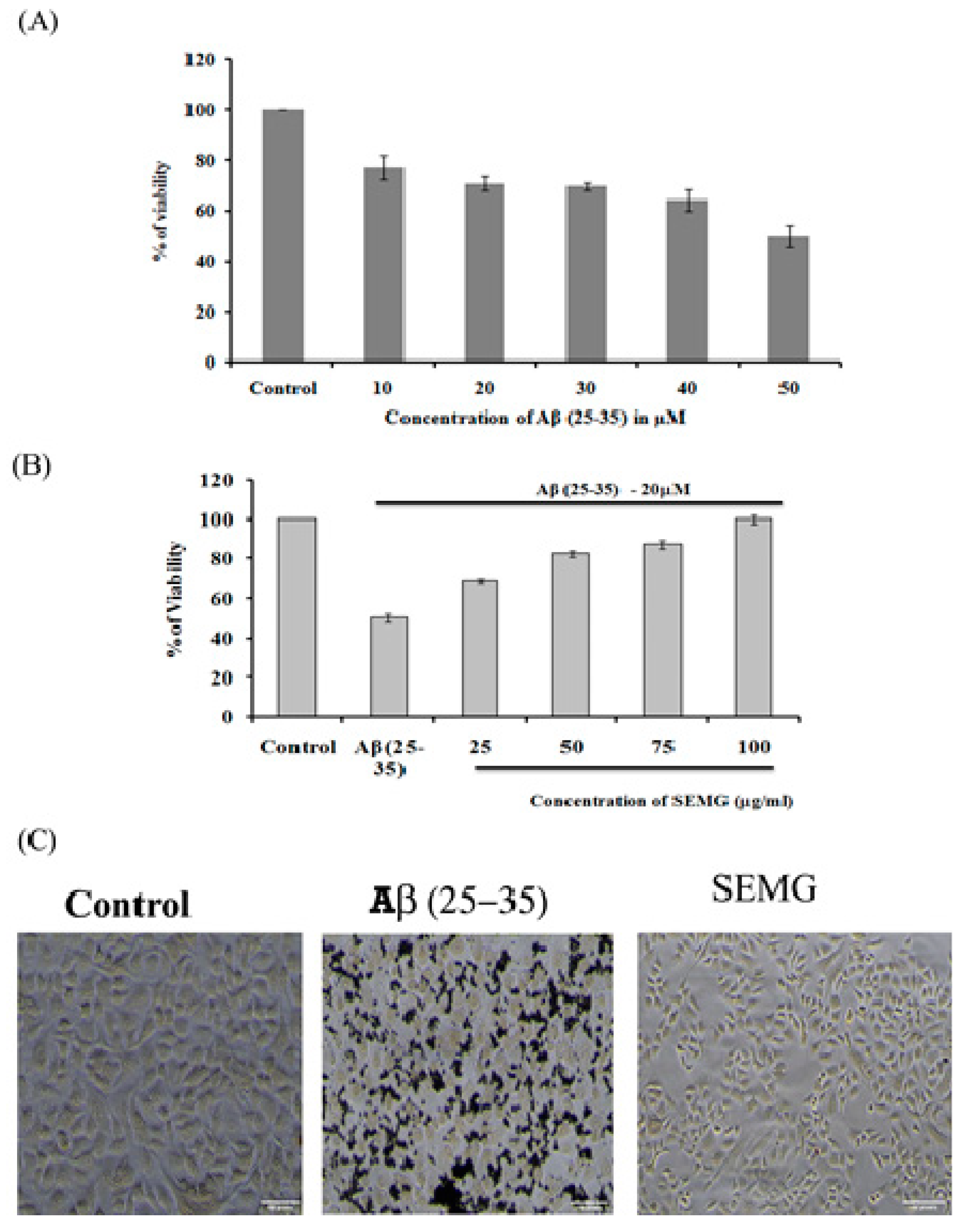 Pharmaceutics 13 00299 g006 Pharmaceutics 13 00299 g006