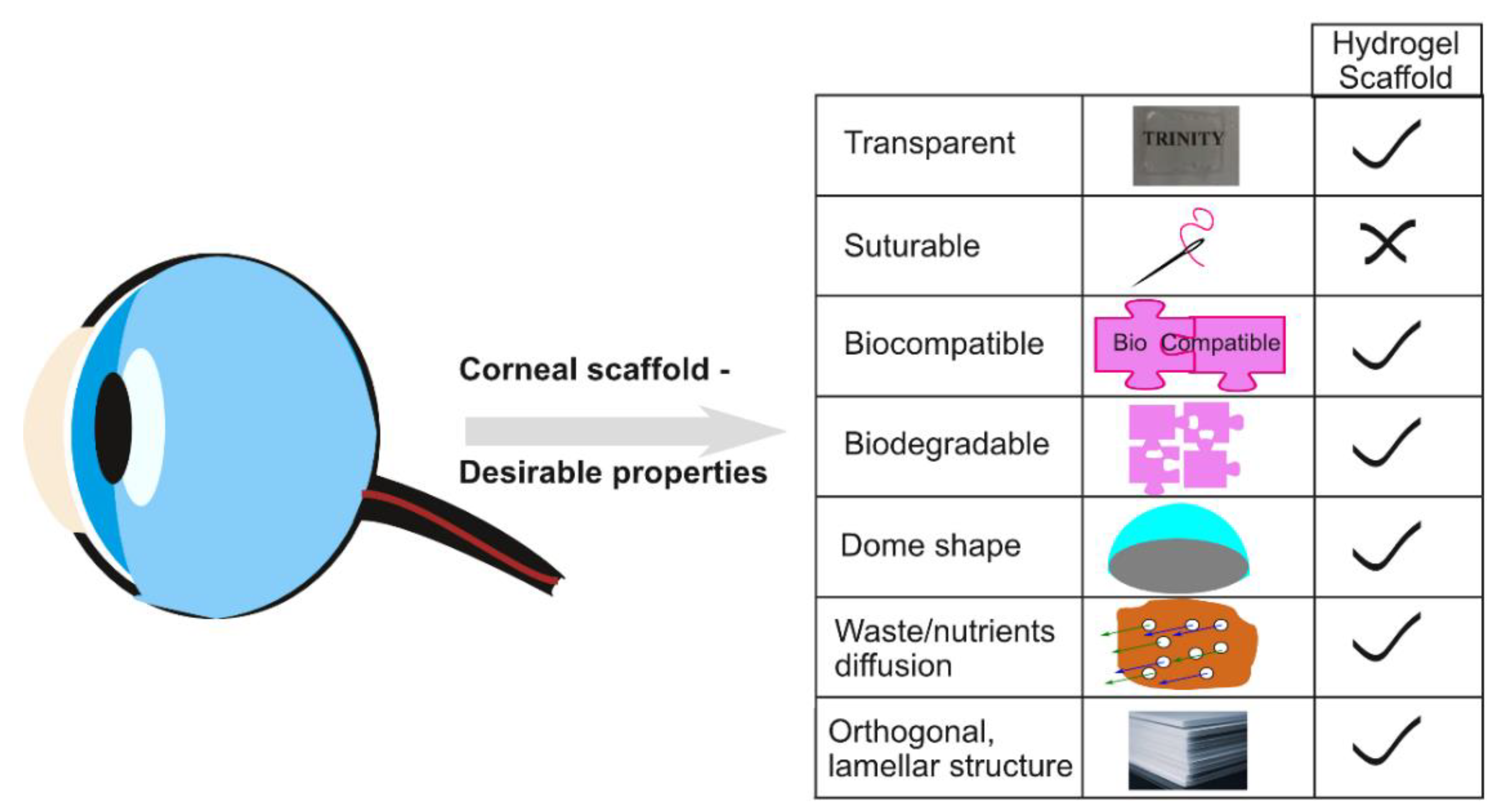 Pharmaceutics 13 00319 g001