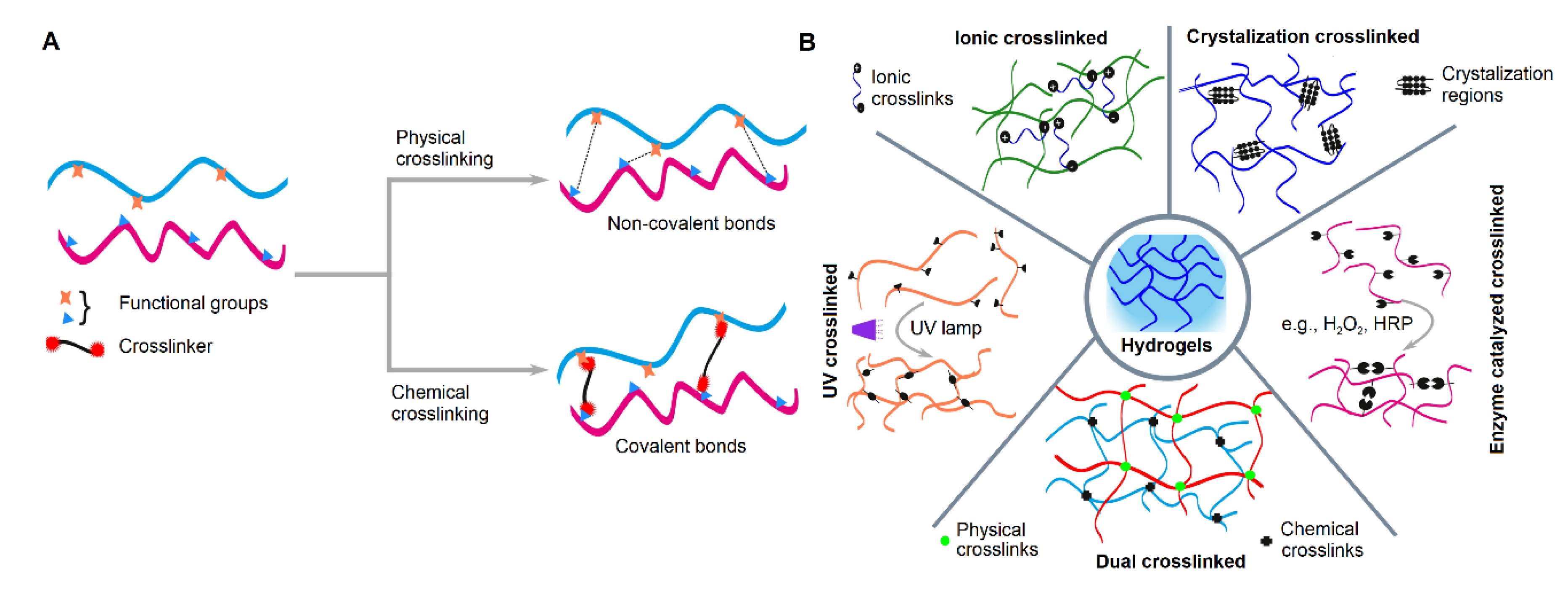 Pharmaceutics 13 00319 g002