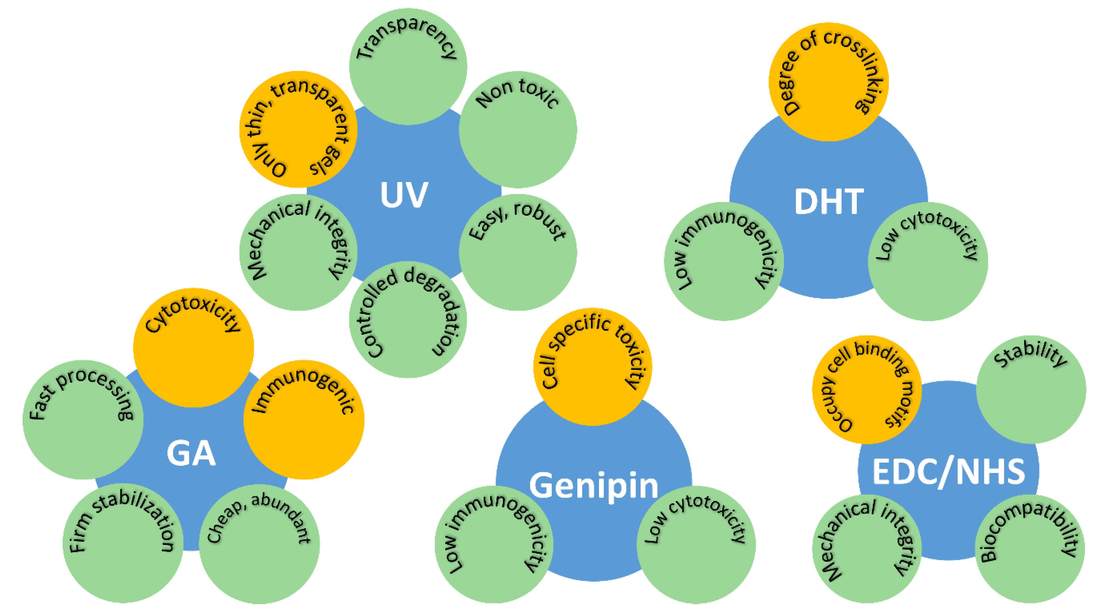 Pharmaceutics 13 00319 g004