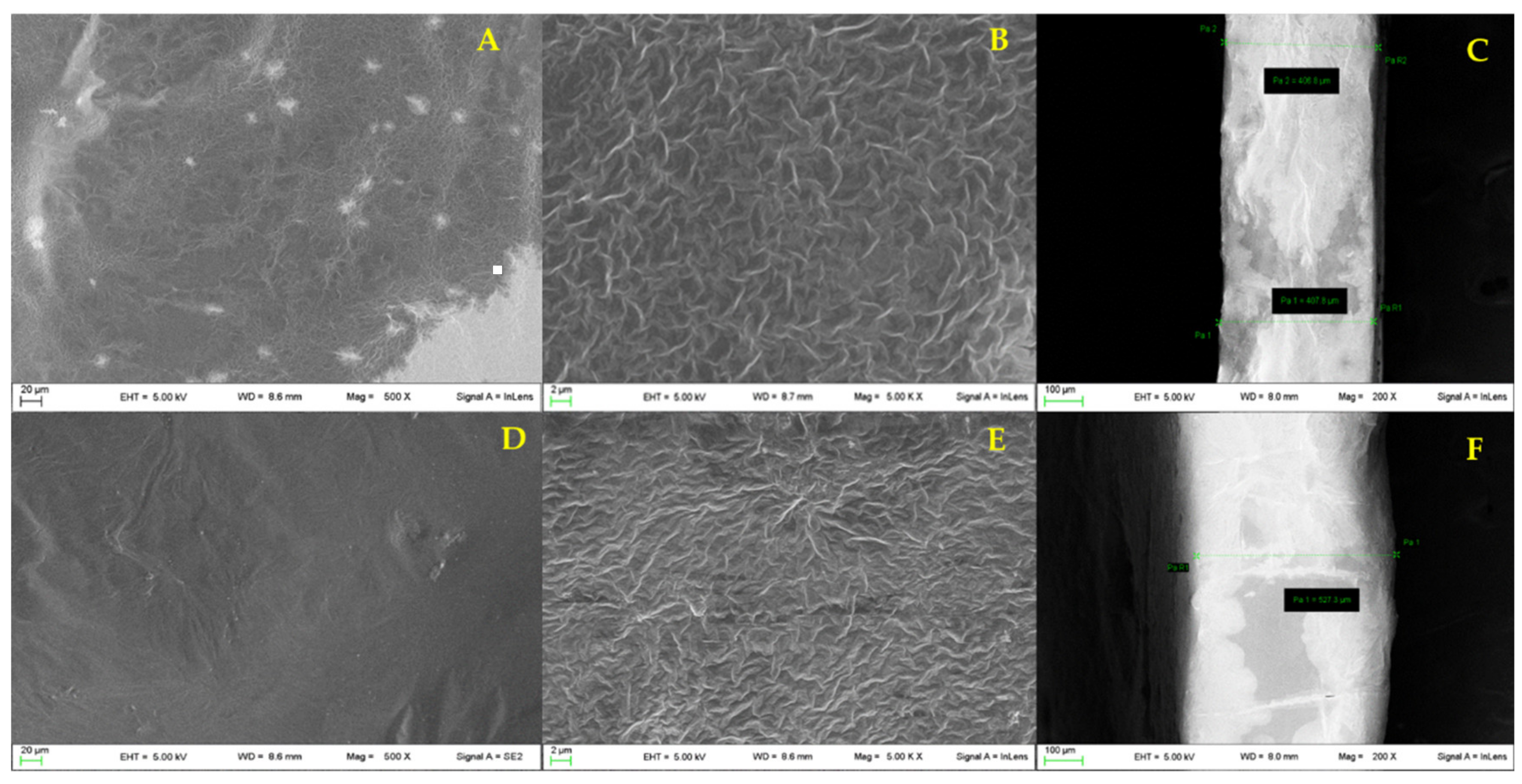 Pharmaceutics 13 00324 g003