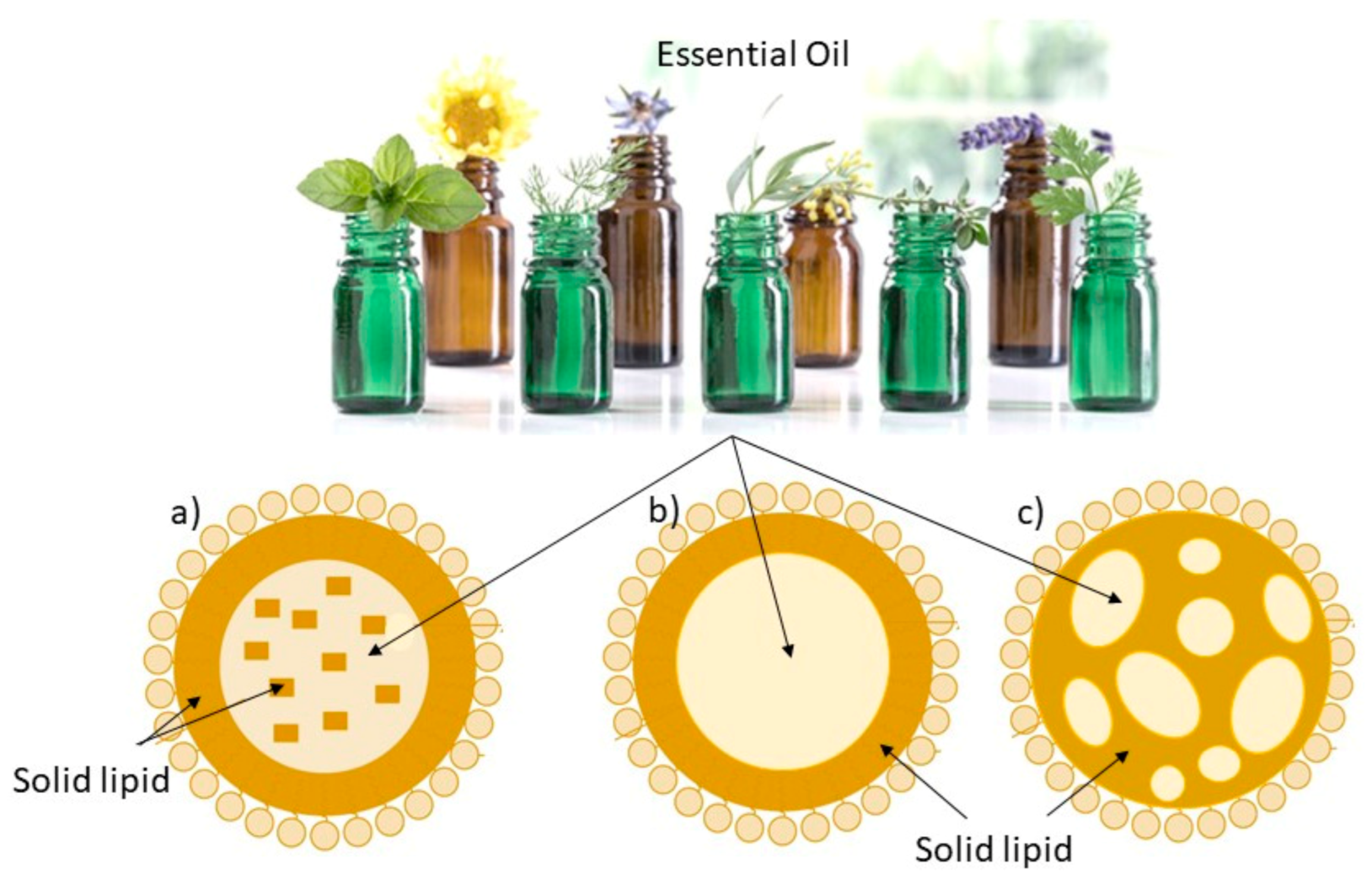 Pharmaceutics Free Full Text Essential Oils Pharmaceutical Applications And Encapsulation Strategies Into Lipid Based Delivery Systems Html