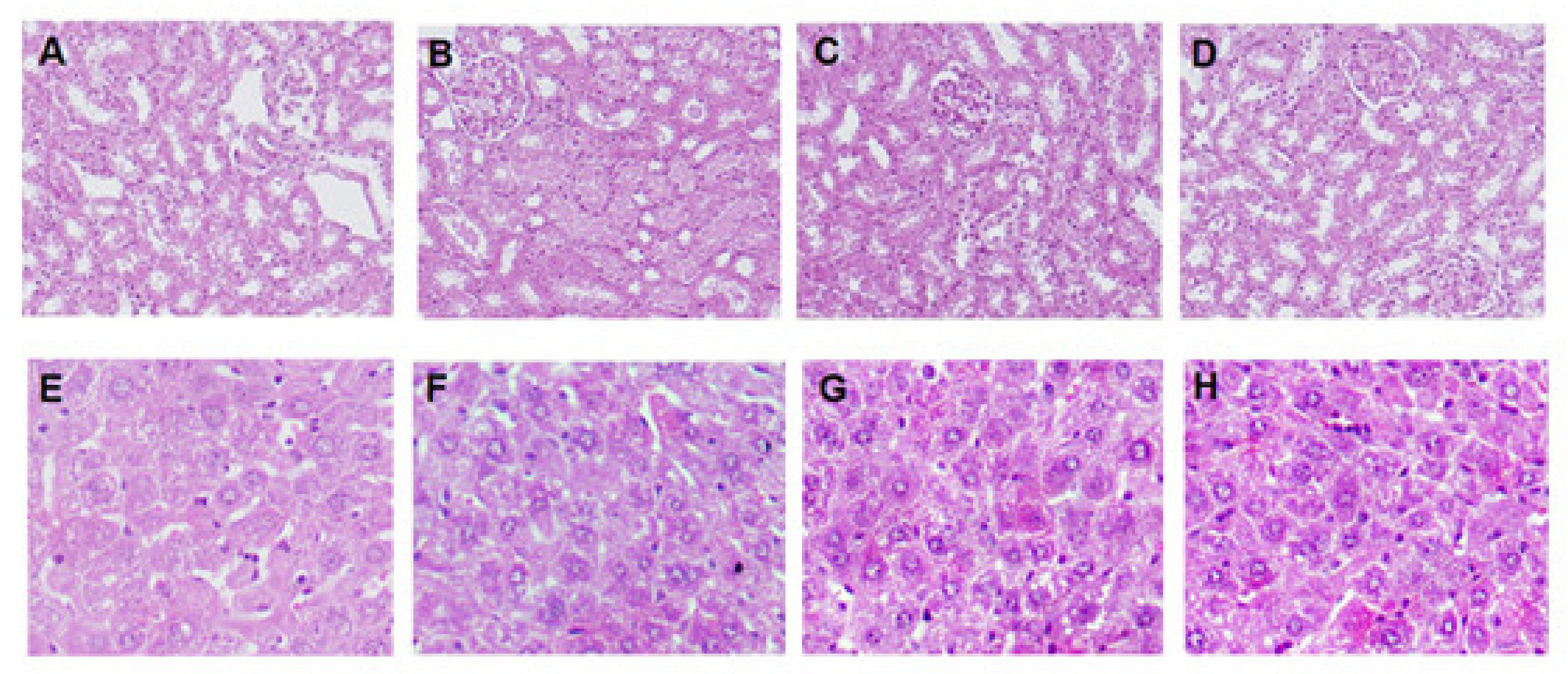 Pharmaceutics 13 00333 g005