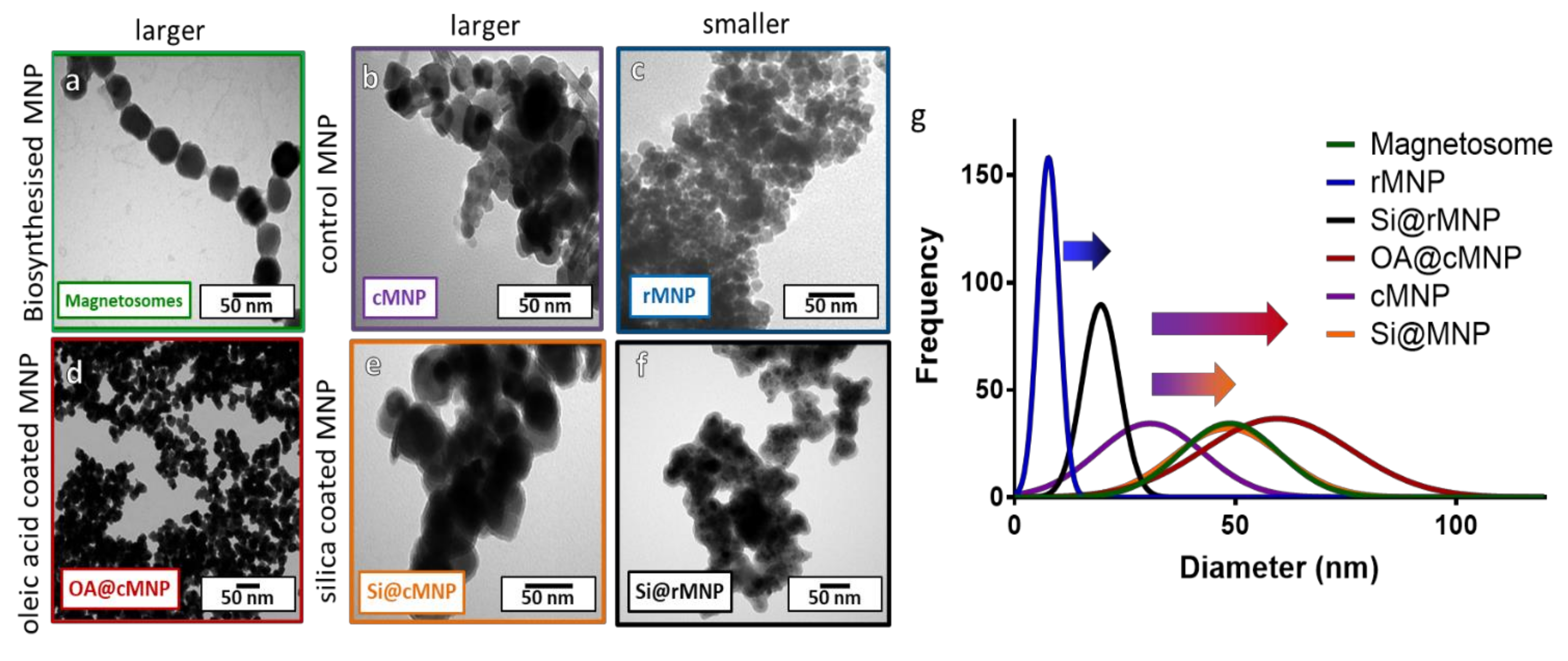 Pharmaceutics 13 00367 g002