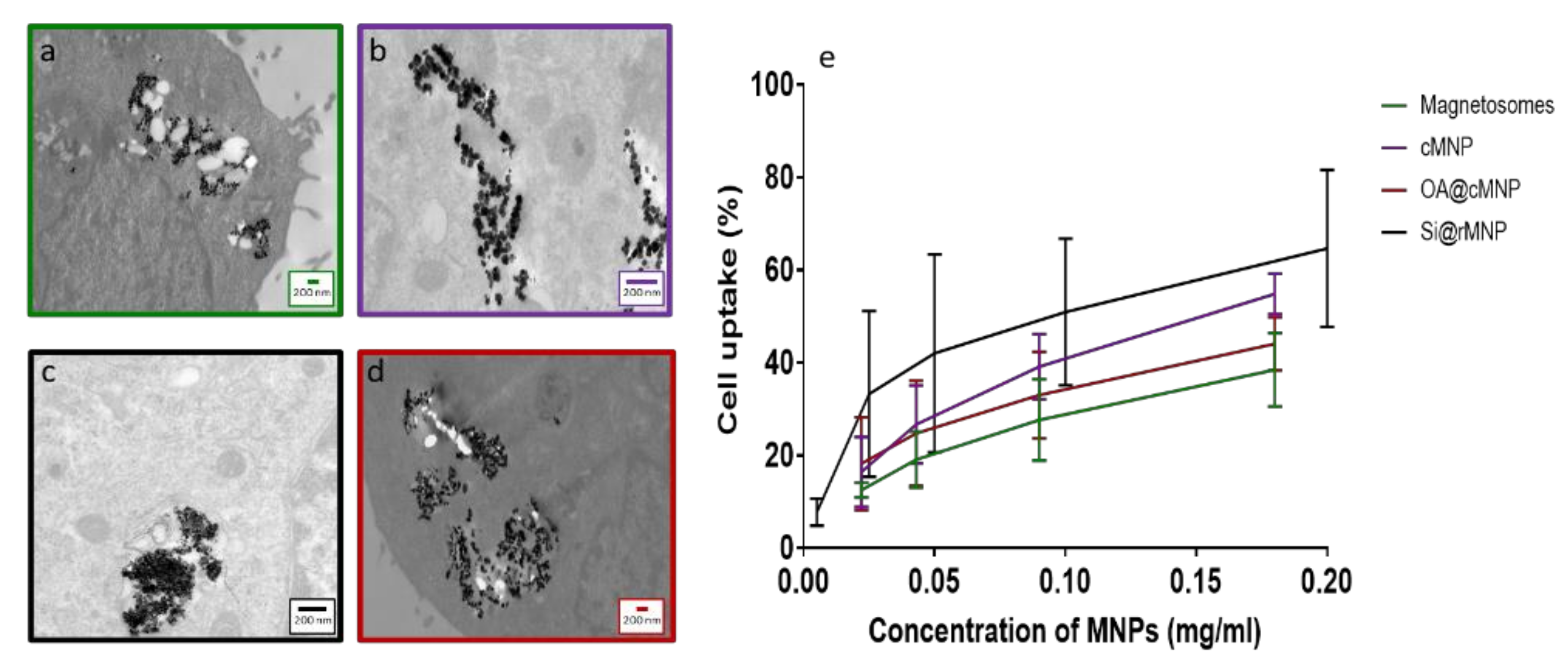 Pharmaceutics 13 00367 g005