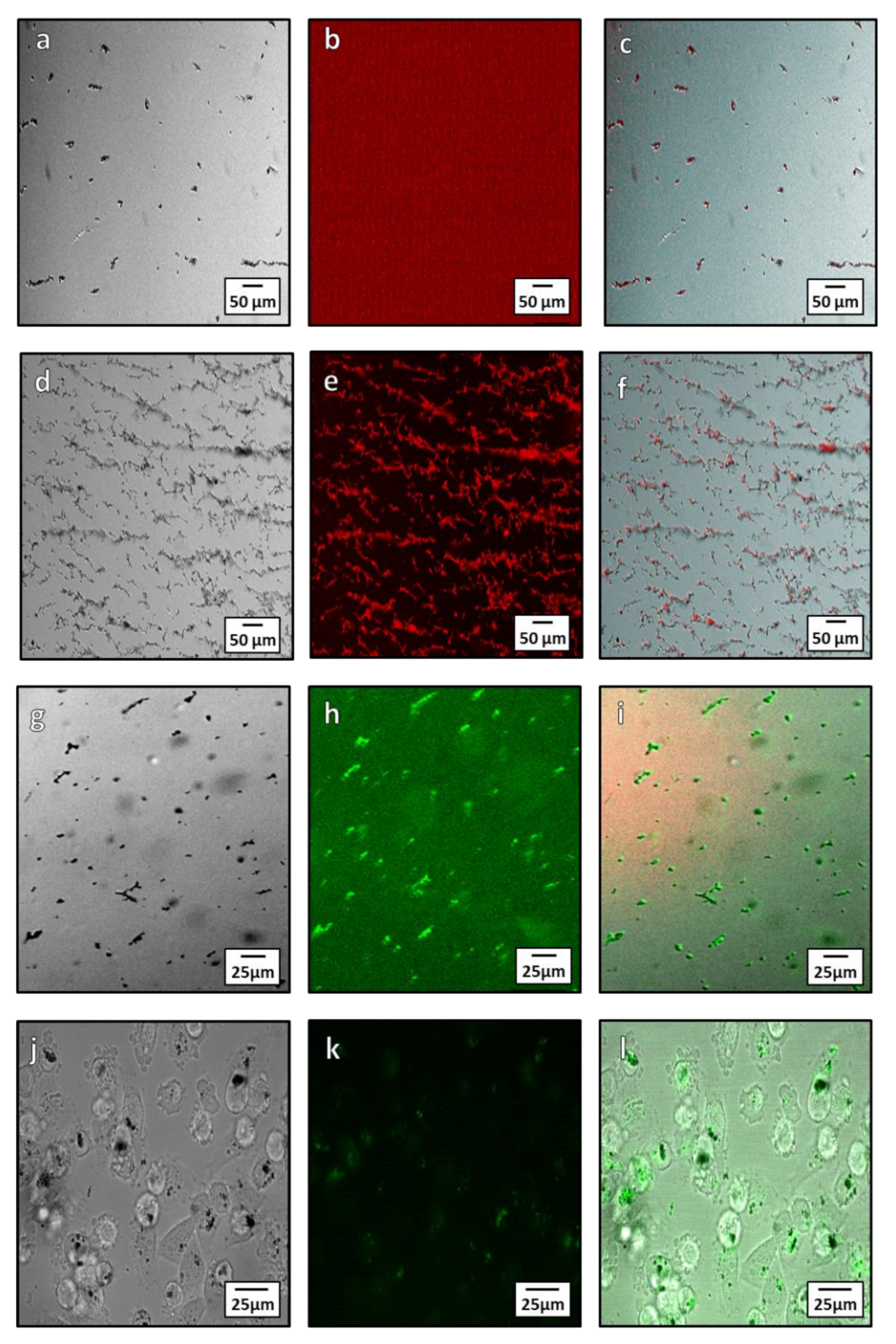 Pharmaceutics 13 00367 g007