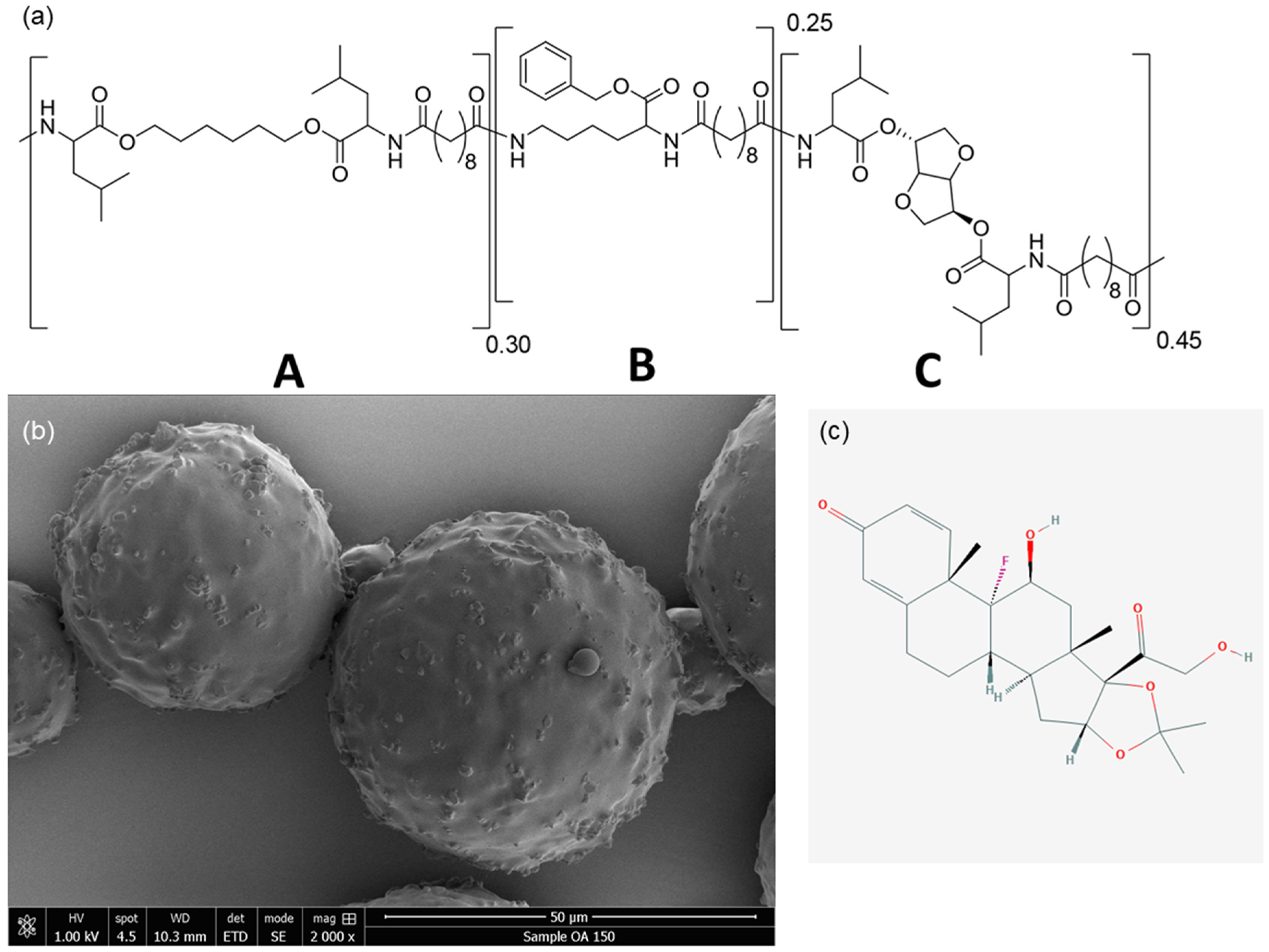 Pharmaceutics | Free Full-Text | Intra-Articular Slow-Release Triamcinolone  Acetonide from Polyesteramide Microspheres as a Treatment for  Osteoarthritis | HTML