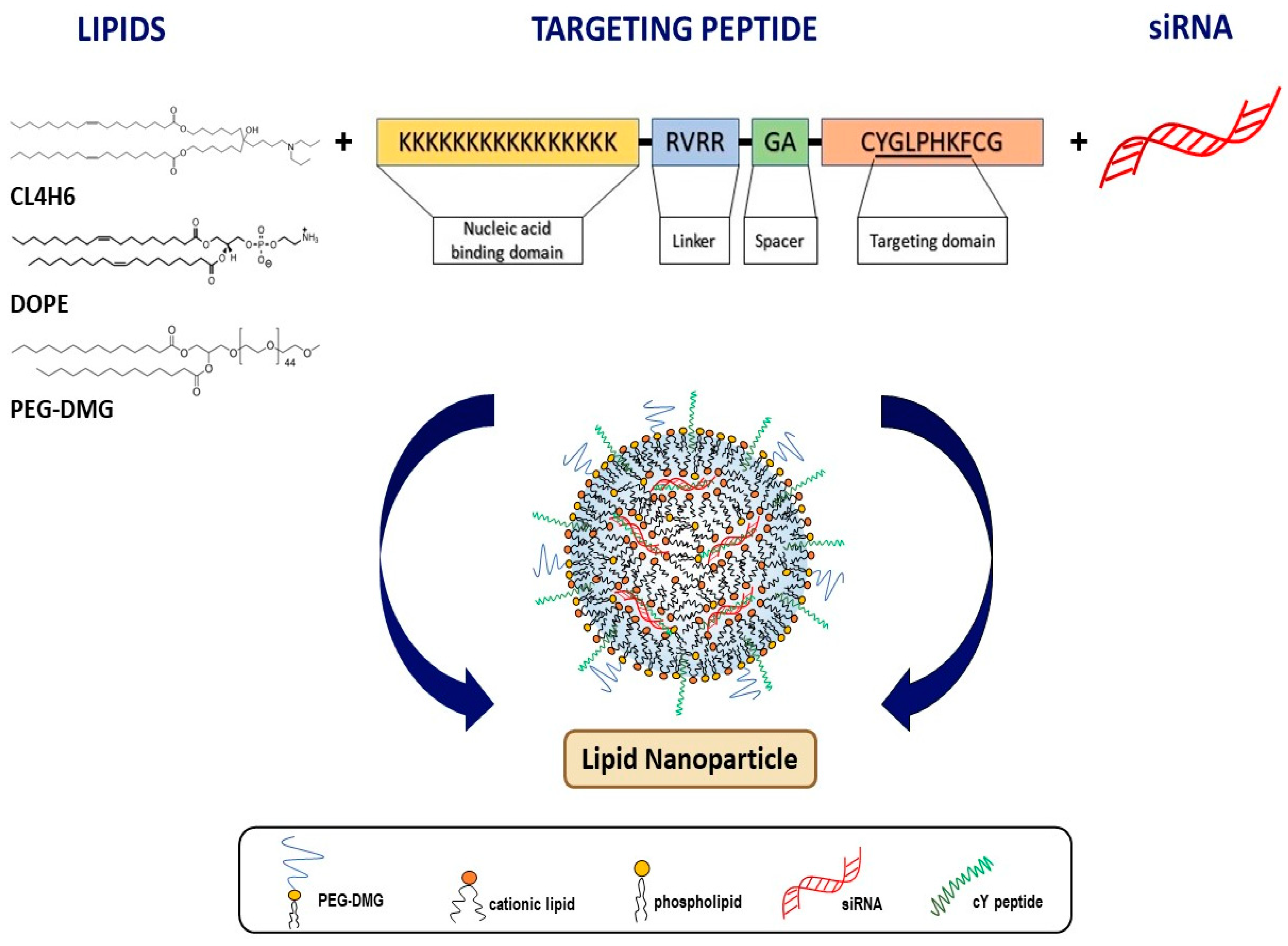 Novel PEGylated Lipid Nanoparticles Have A High Encapsulation ...