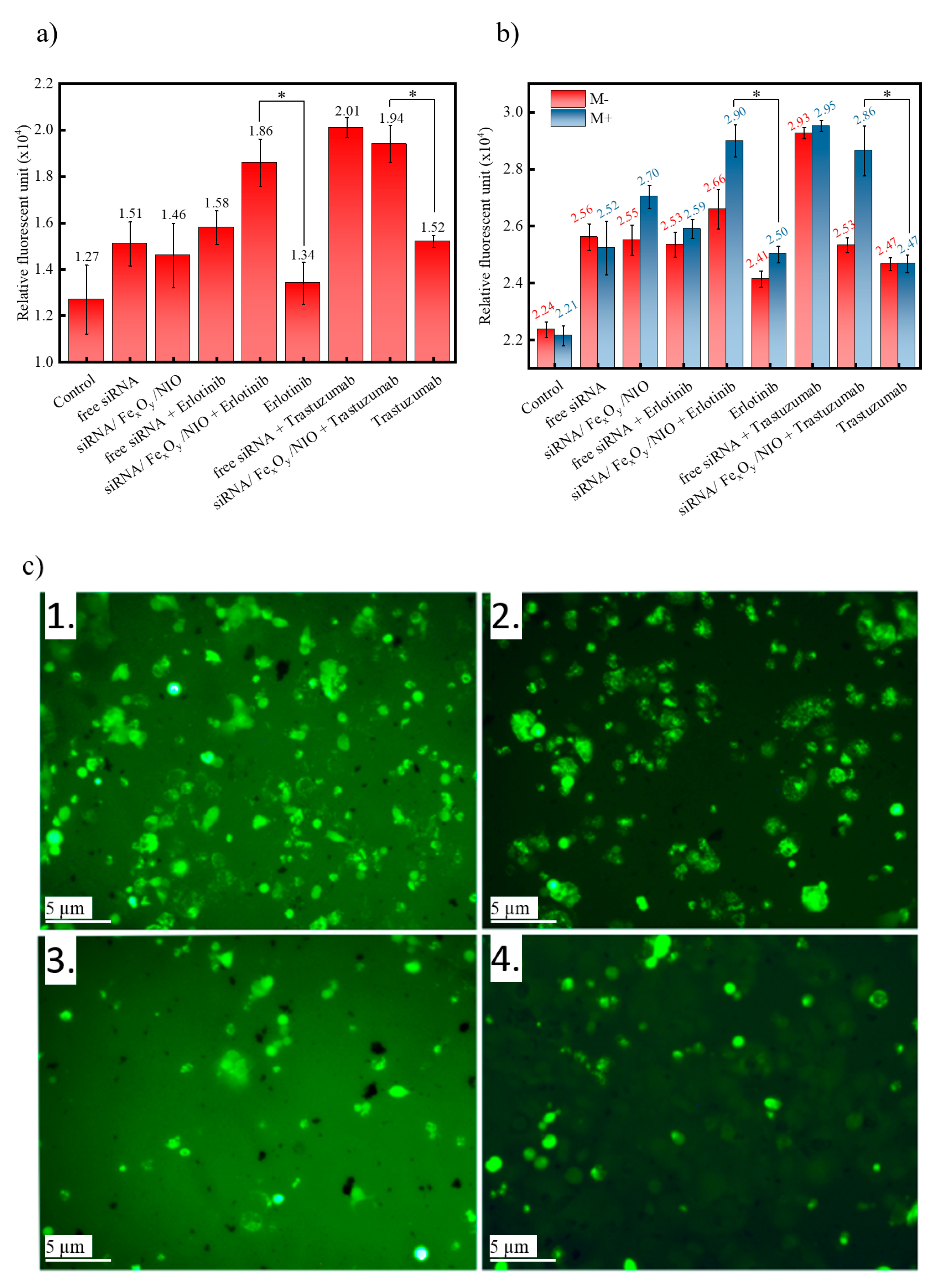 Pharmaceutics 13 00394 g005