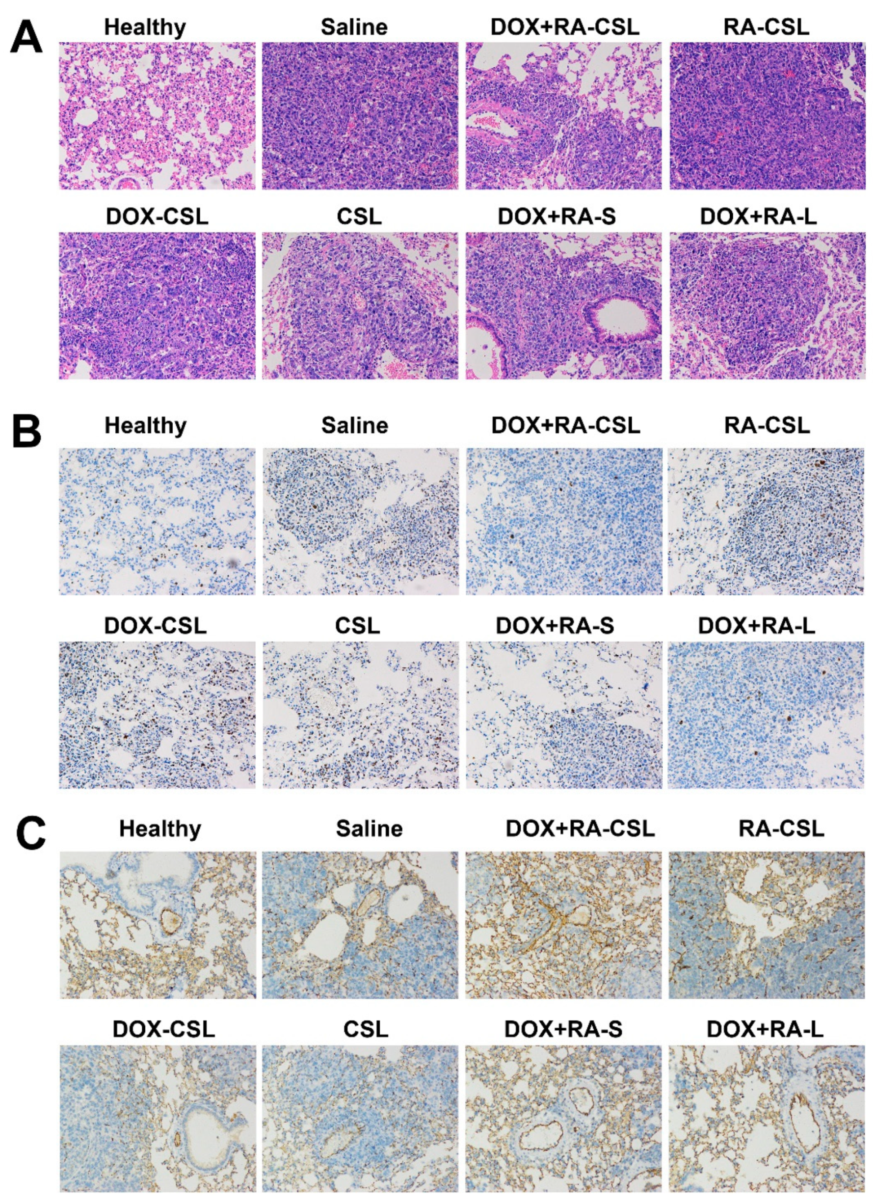 Pharmaceutics 13 00406 g004