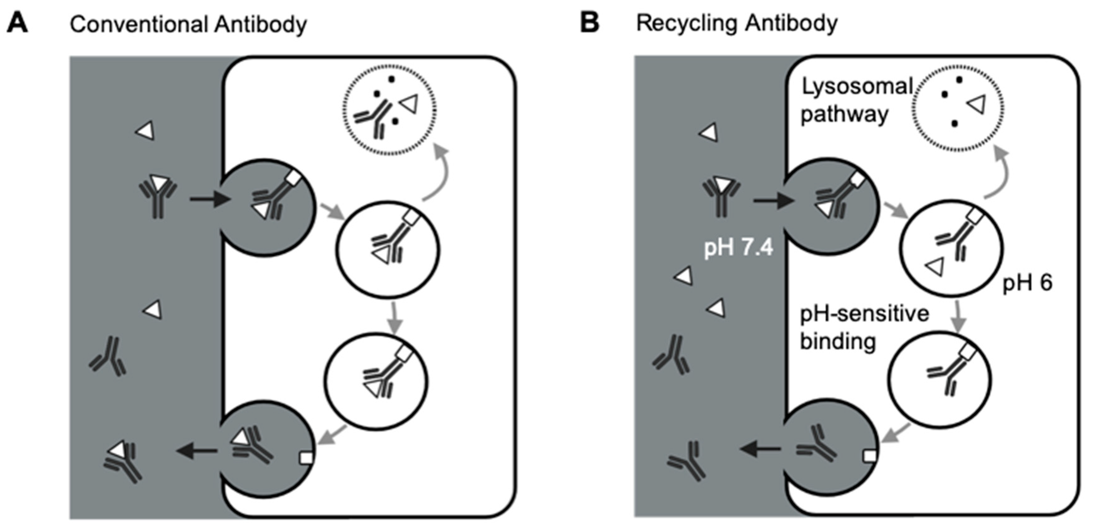 Pharmaceutics 13 00422 g002 Pharmaceutics 13 00422 g002