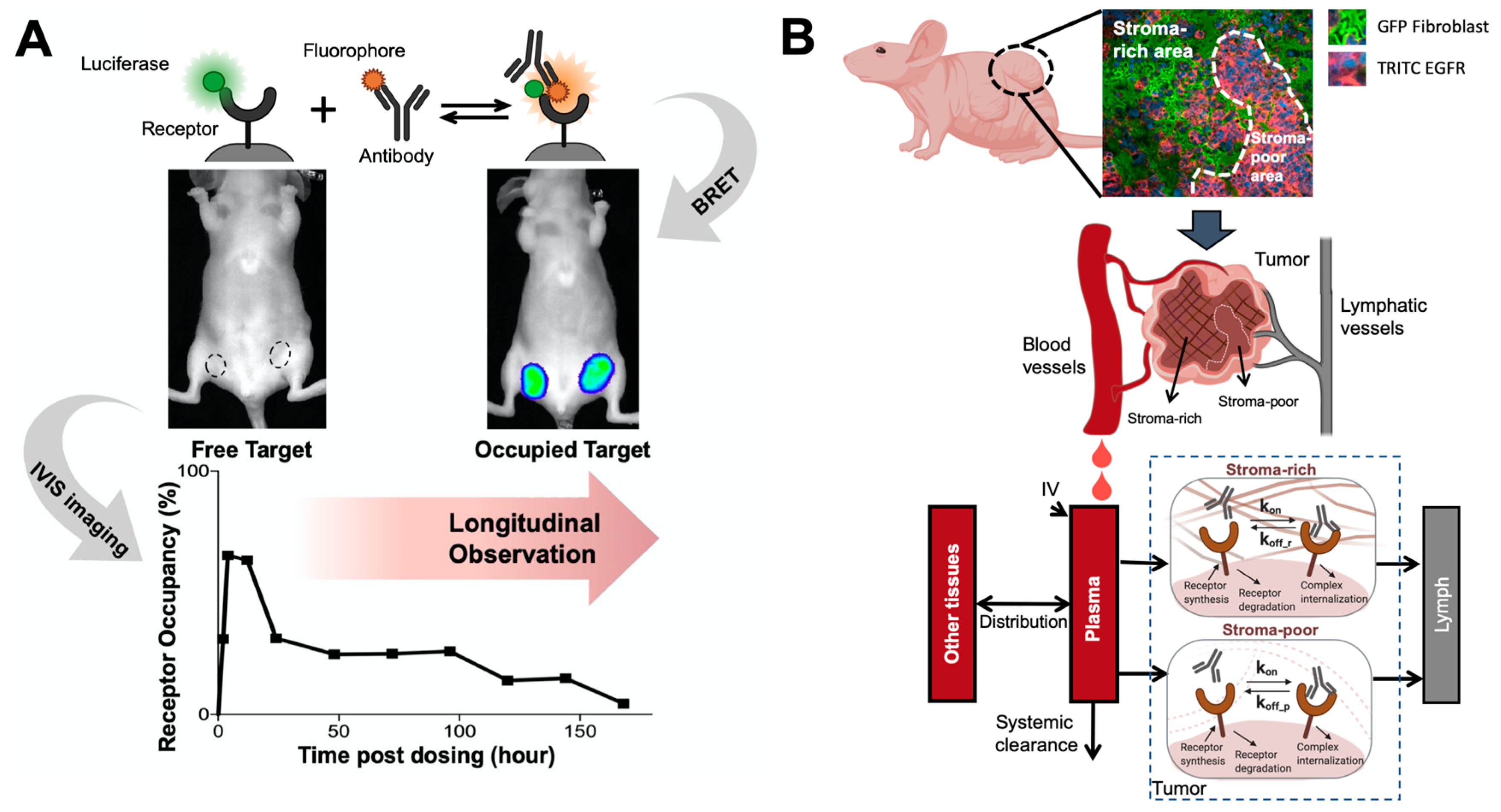 Pharmaceutics 13 00422 g004 Pharmaceutics 13 00422 g004
