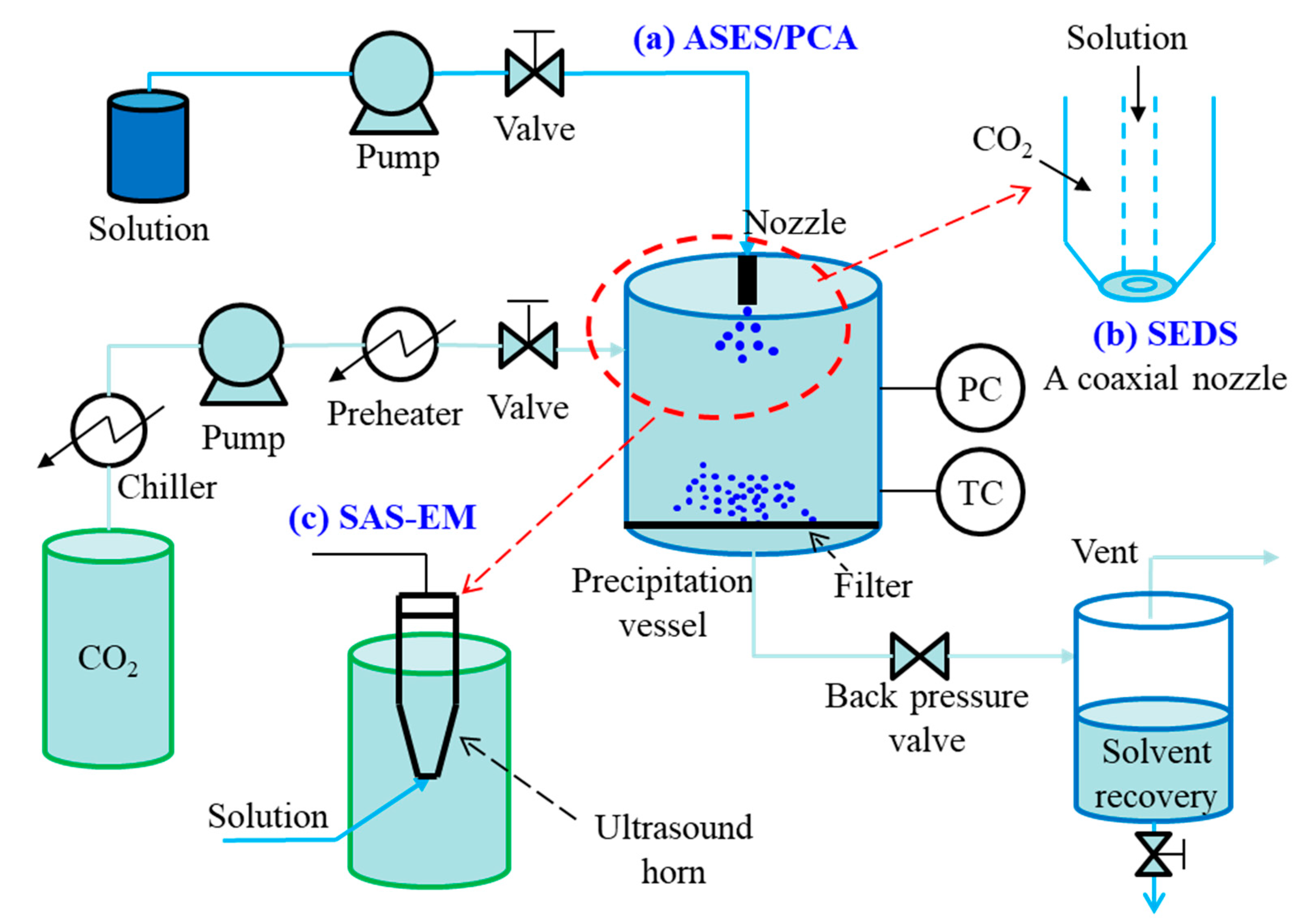 Pharmaceutics 13 00475 g003