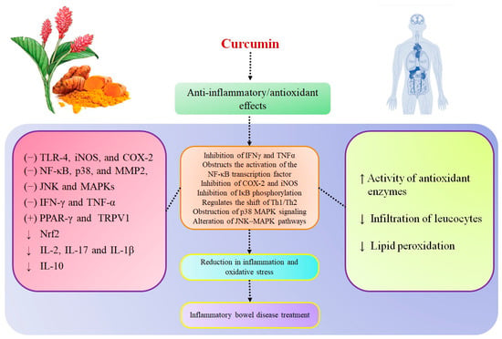 Encapsulation of curcumin in alginate microbeads (AMB) for control