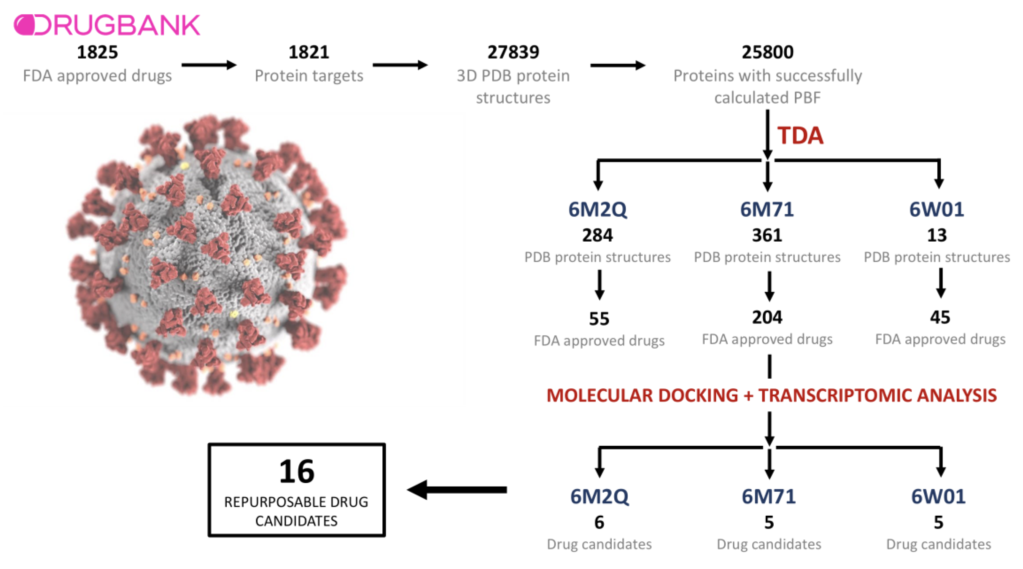Pharmaceutics 13 00488 g002
