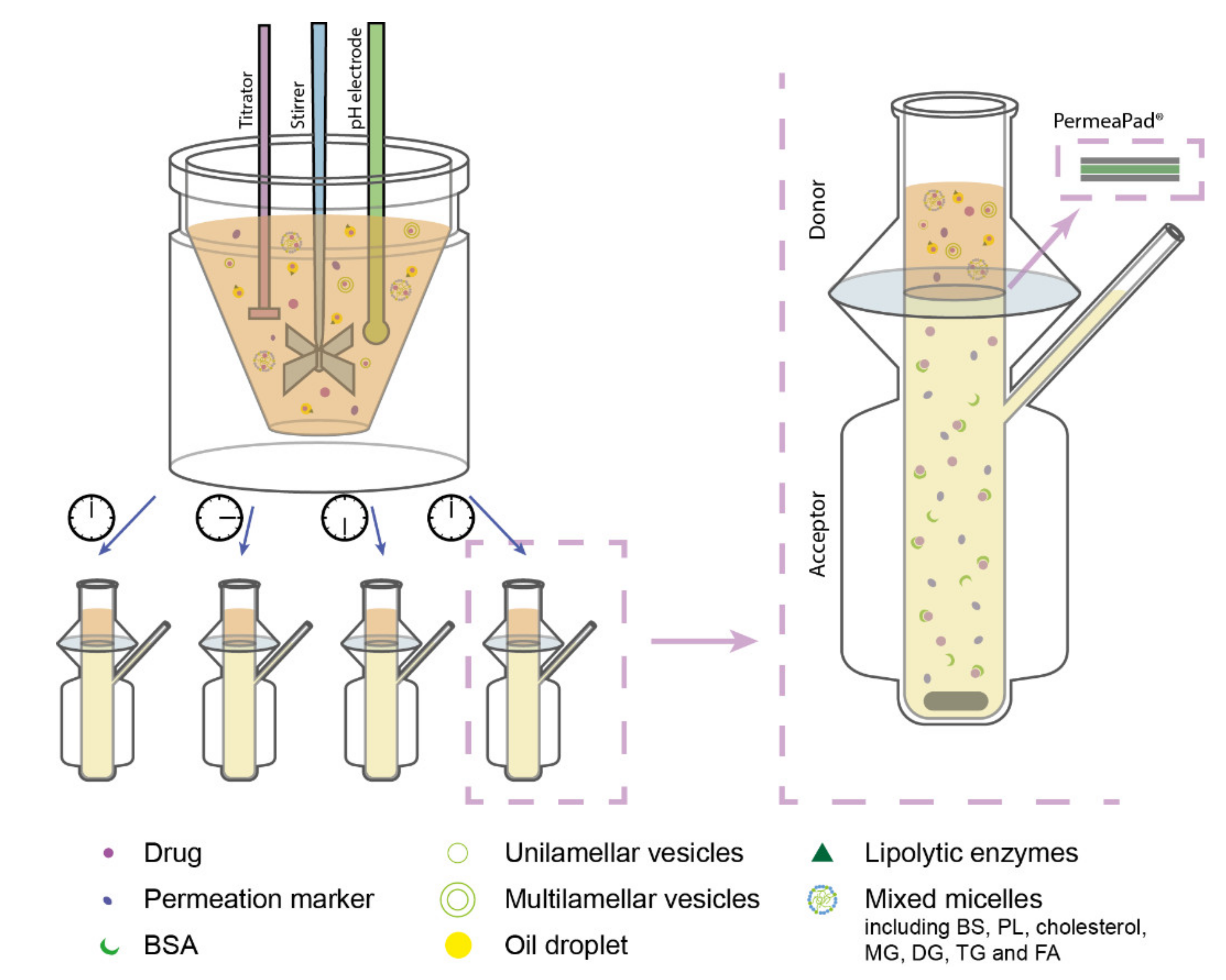 Pharmaceutics 13 00489 g001 Pharmaceutics 13 00489 g001