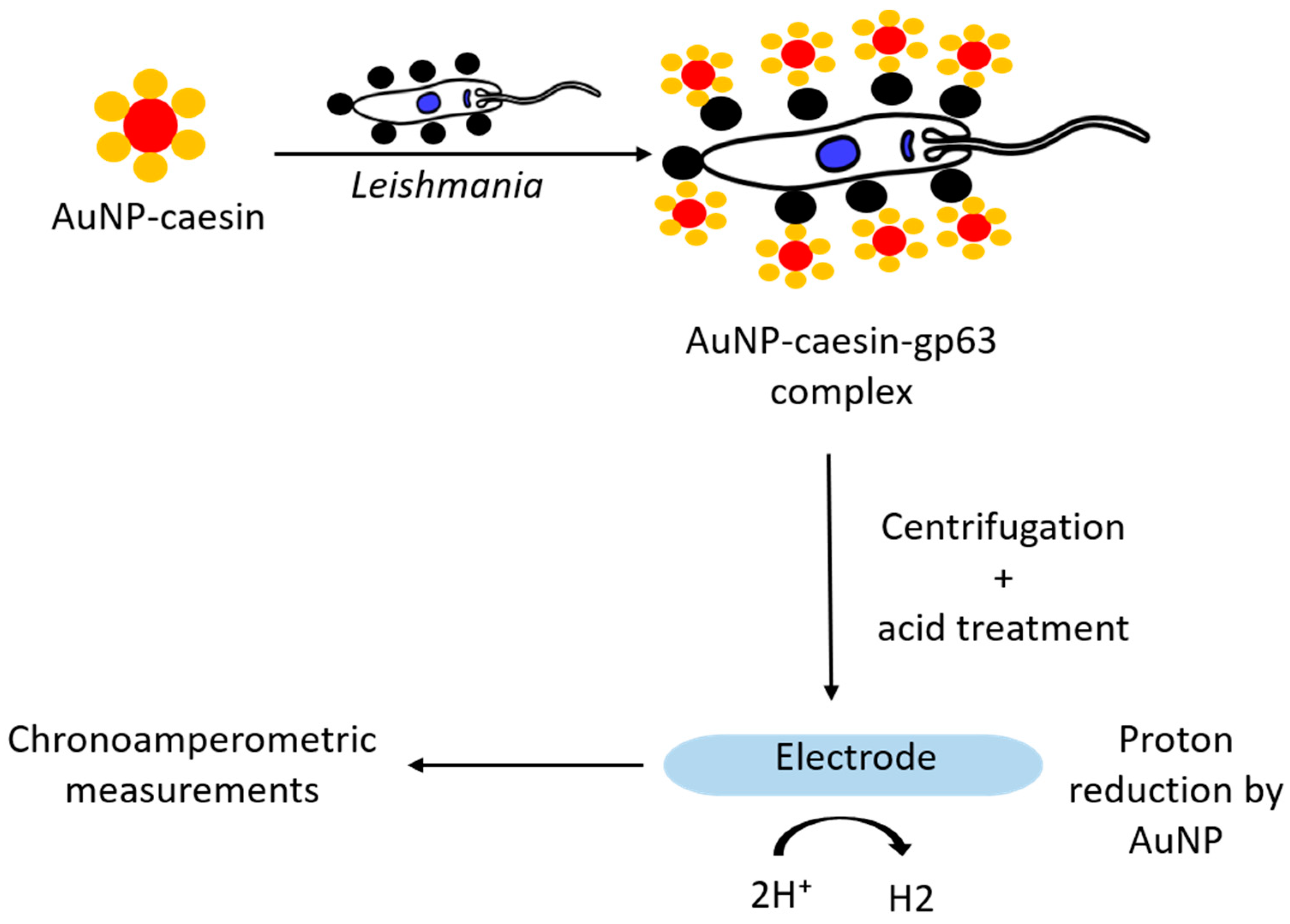 Pharmaceutics 13 00491 g006