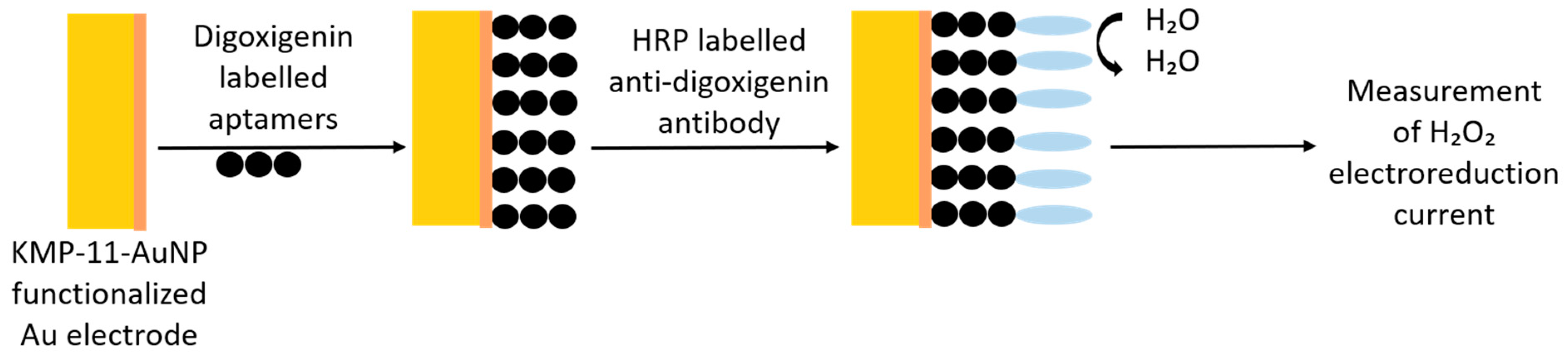 Pharmaceutics 13 00491 g008