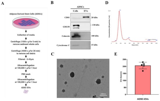 Pharmaceutics An Open Access Journal From Mdpi