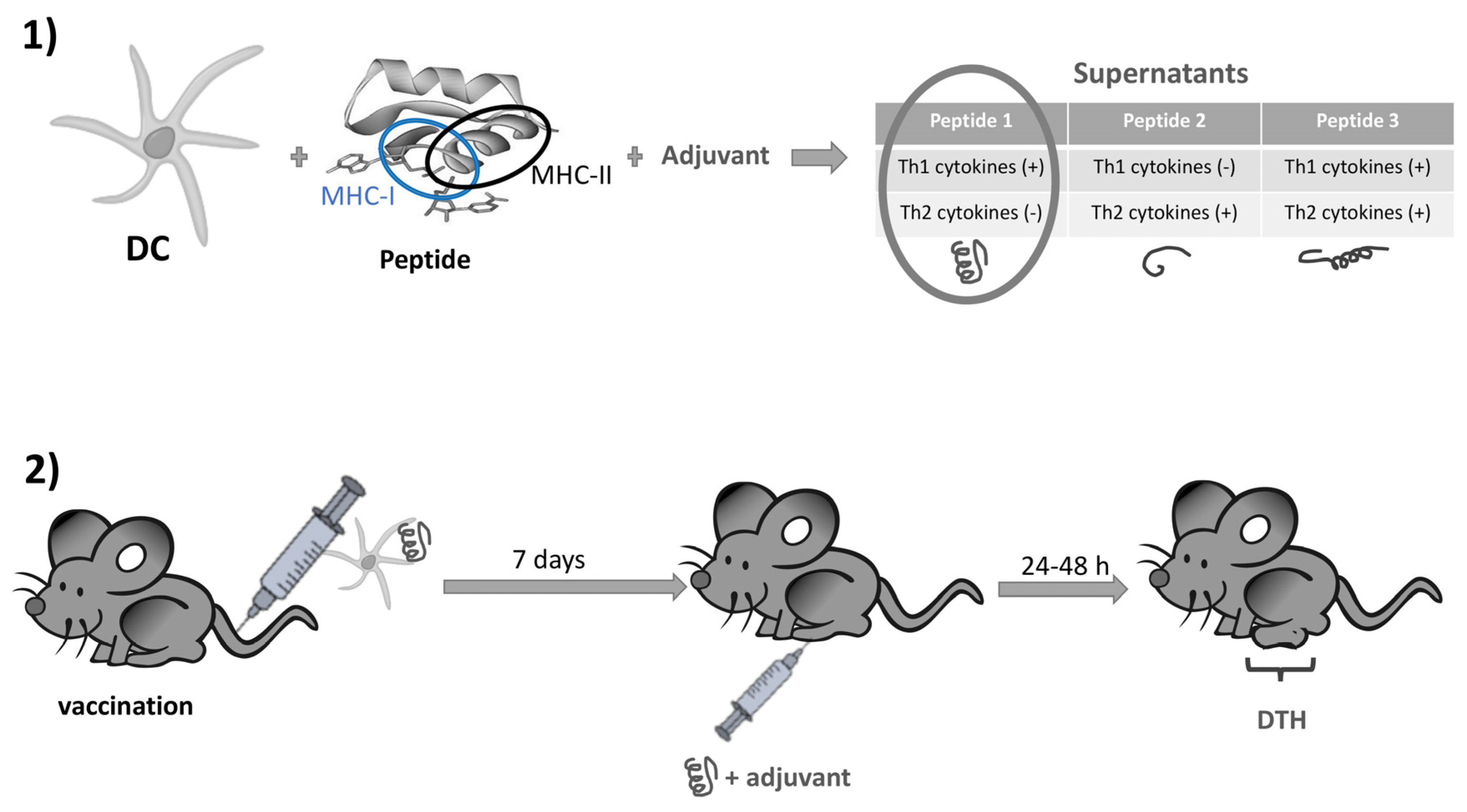 Detailed PCPP-32-101 Study Dumps