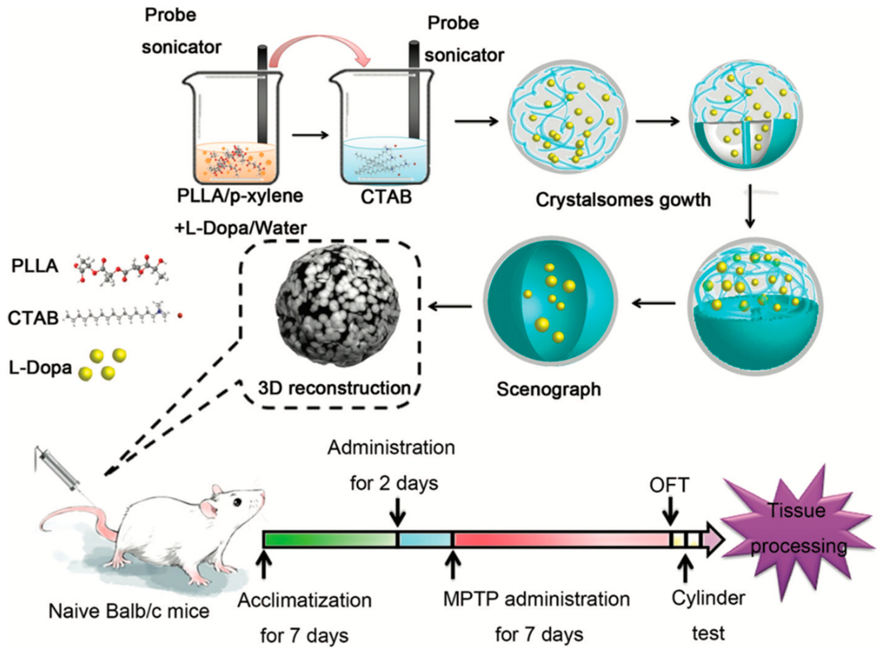 Pharmaceutics 13 00508 g004