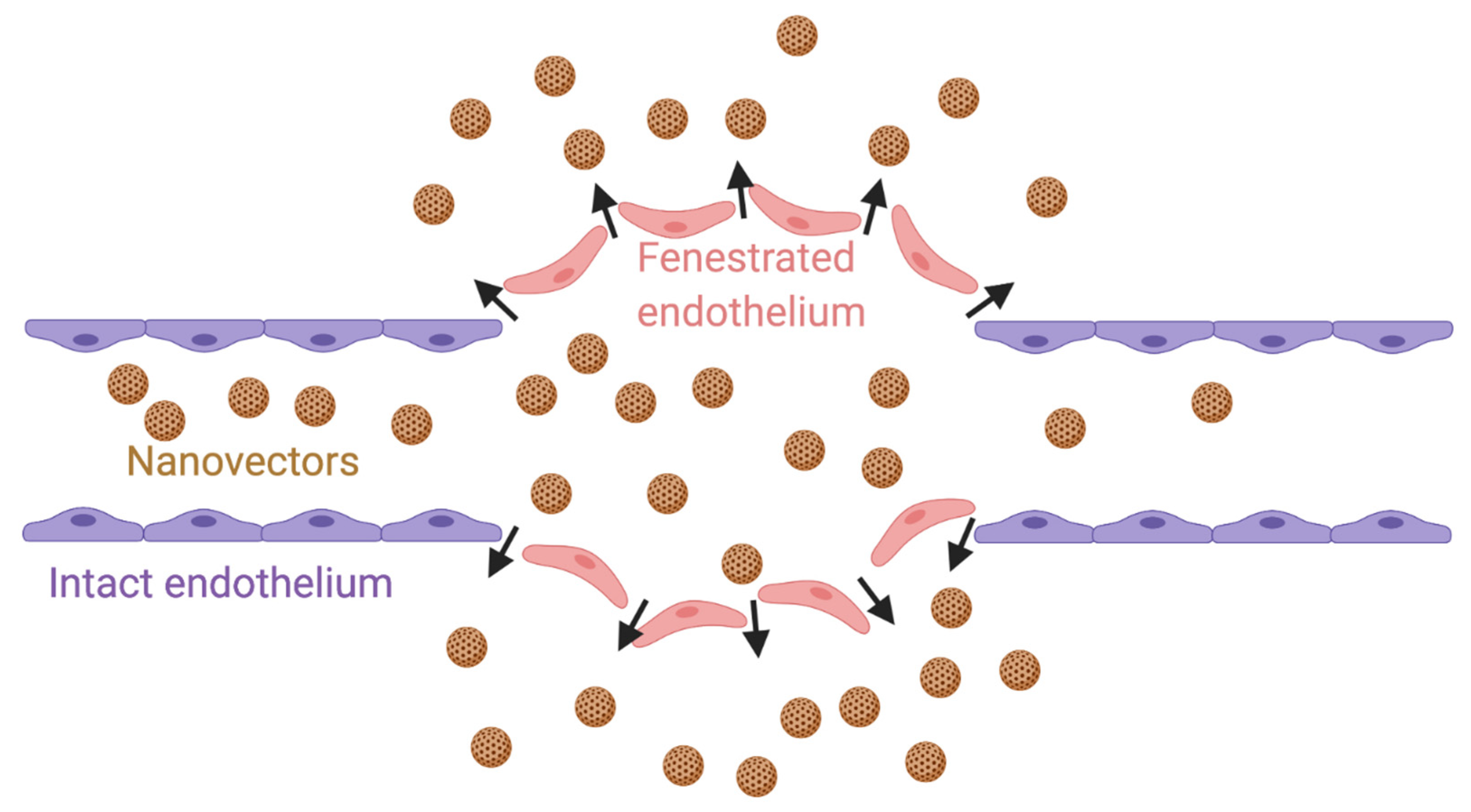 Pharmaceutics 13 00591 g002