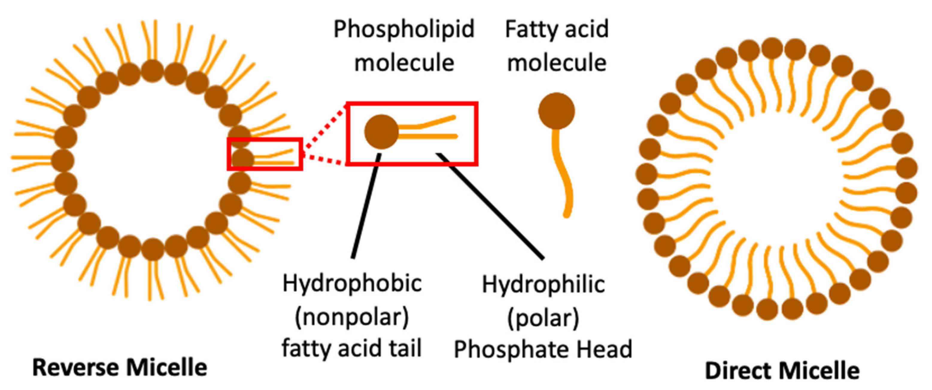 Pharmaceutics 13 00591 g005