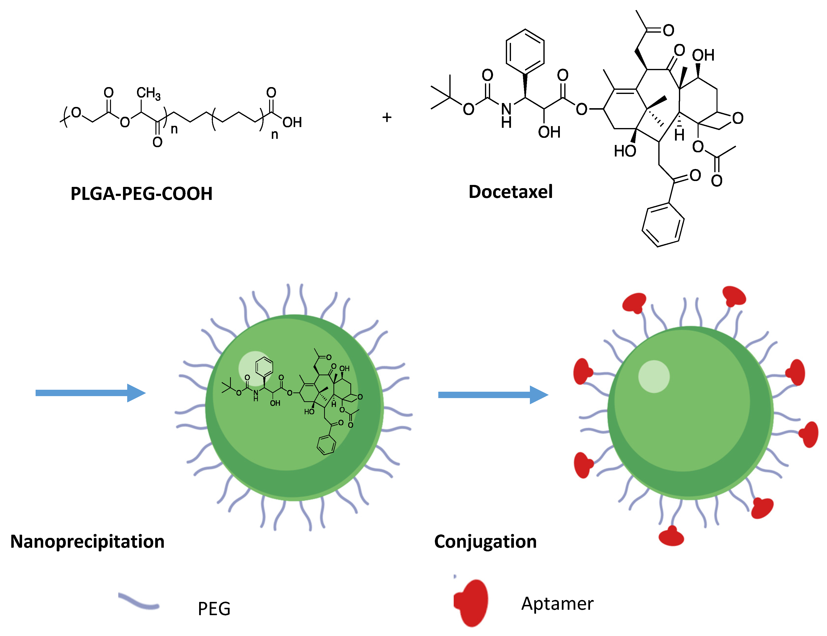 Pharmaceutics 13 00591 g011