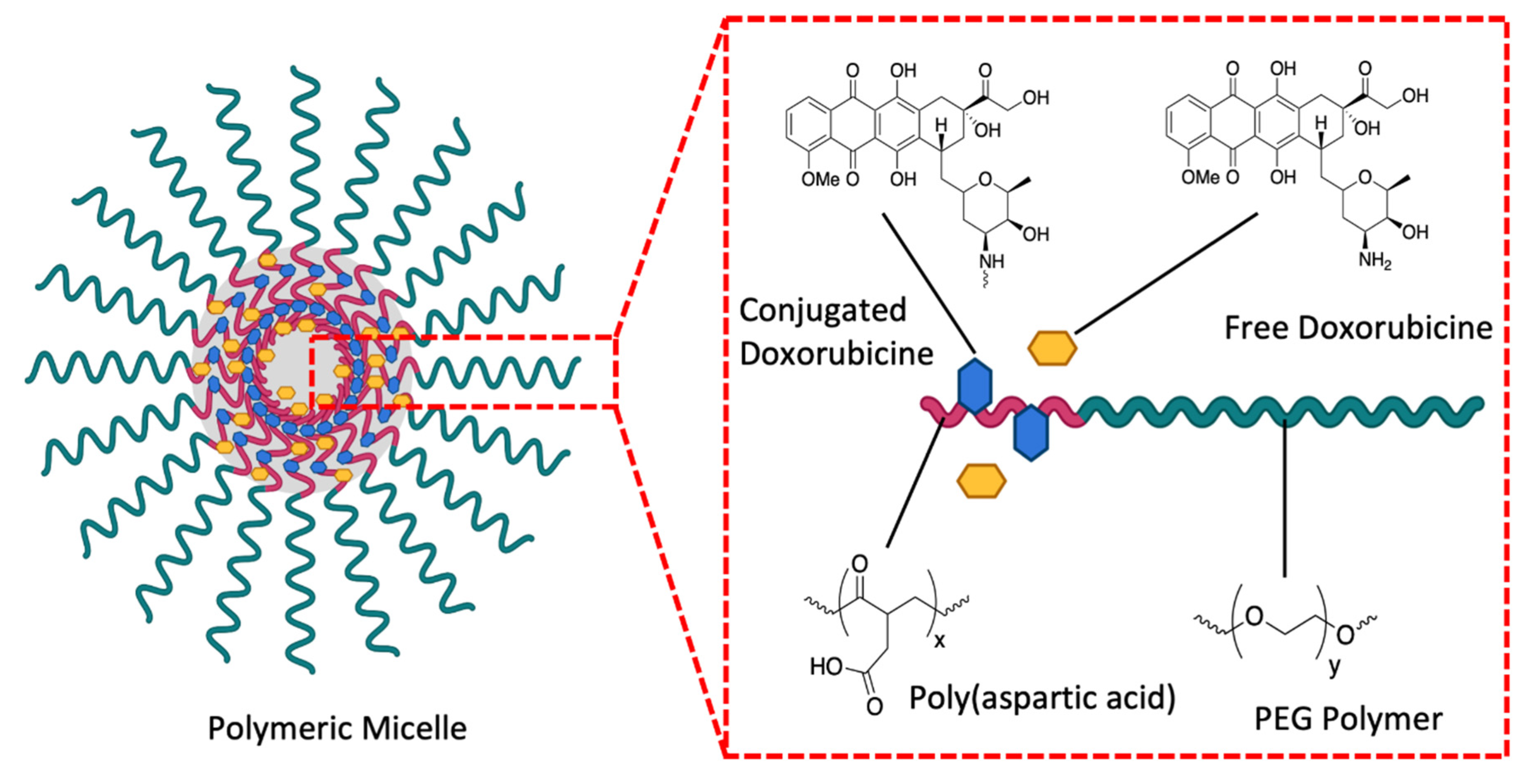 Pharmaceutics Free Full Text Nanovectorization Of Prostate Cancer Treatment Strategies A New Approach To Improved Outcomes Html