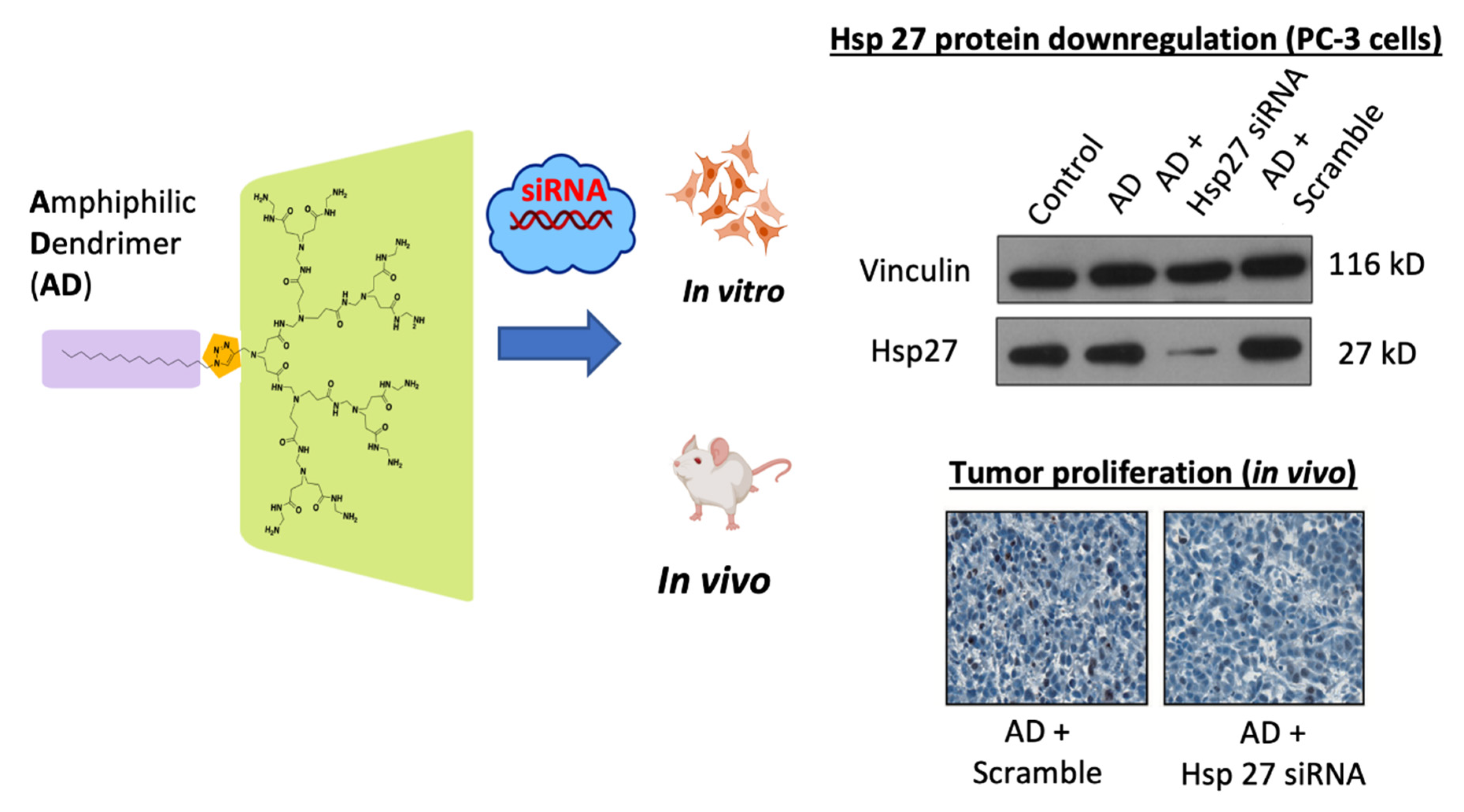 Pharmaceutics 13 00591 g013