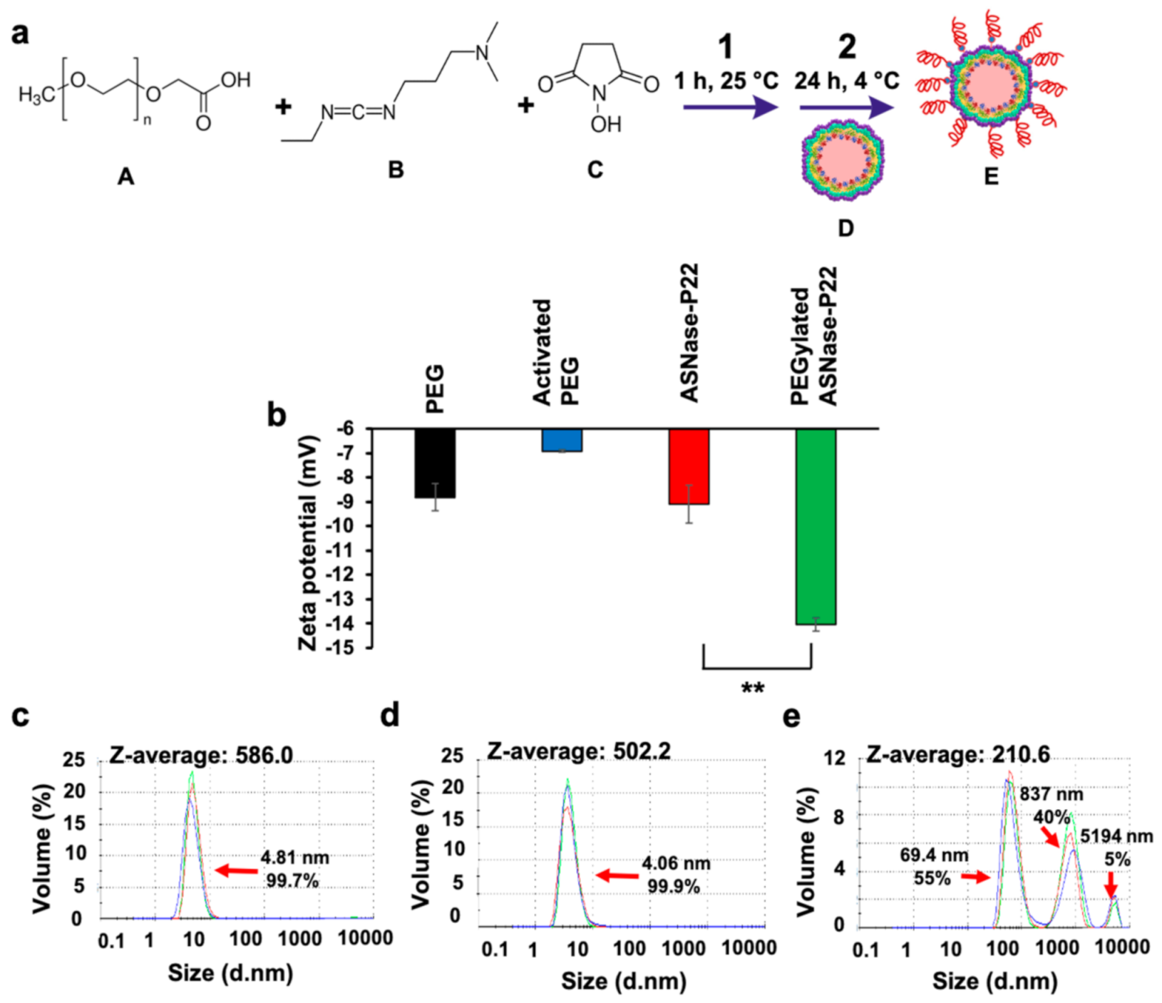 Pharmaceutics 13 00604 g006 Pharmaceutics 13 00604 g006