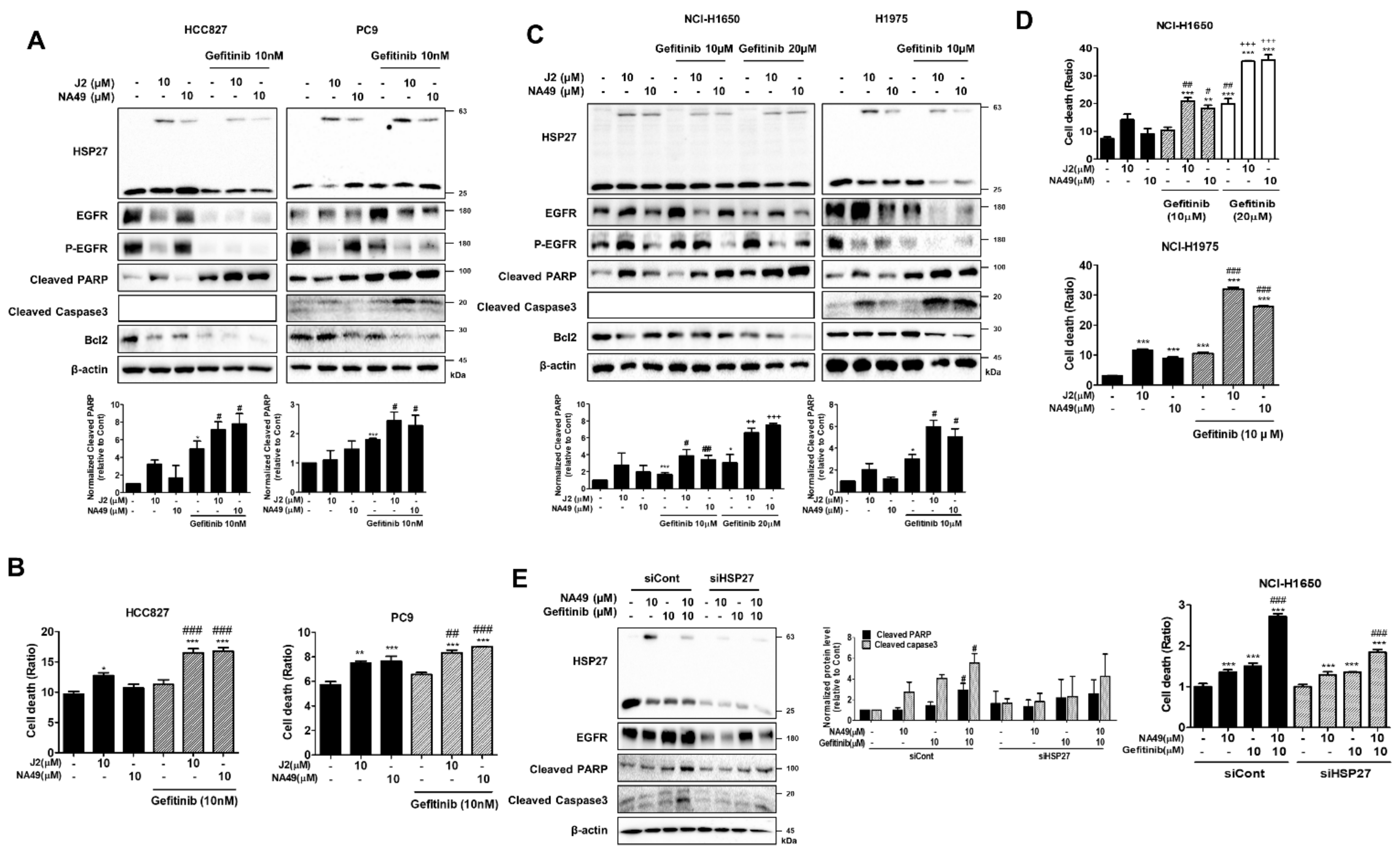 Drug Like Small Molecule Hsp27 Functional Inhibitor Sensitizes Lung Cancer Cells To Gefitinib Or