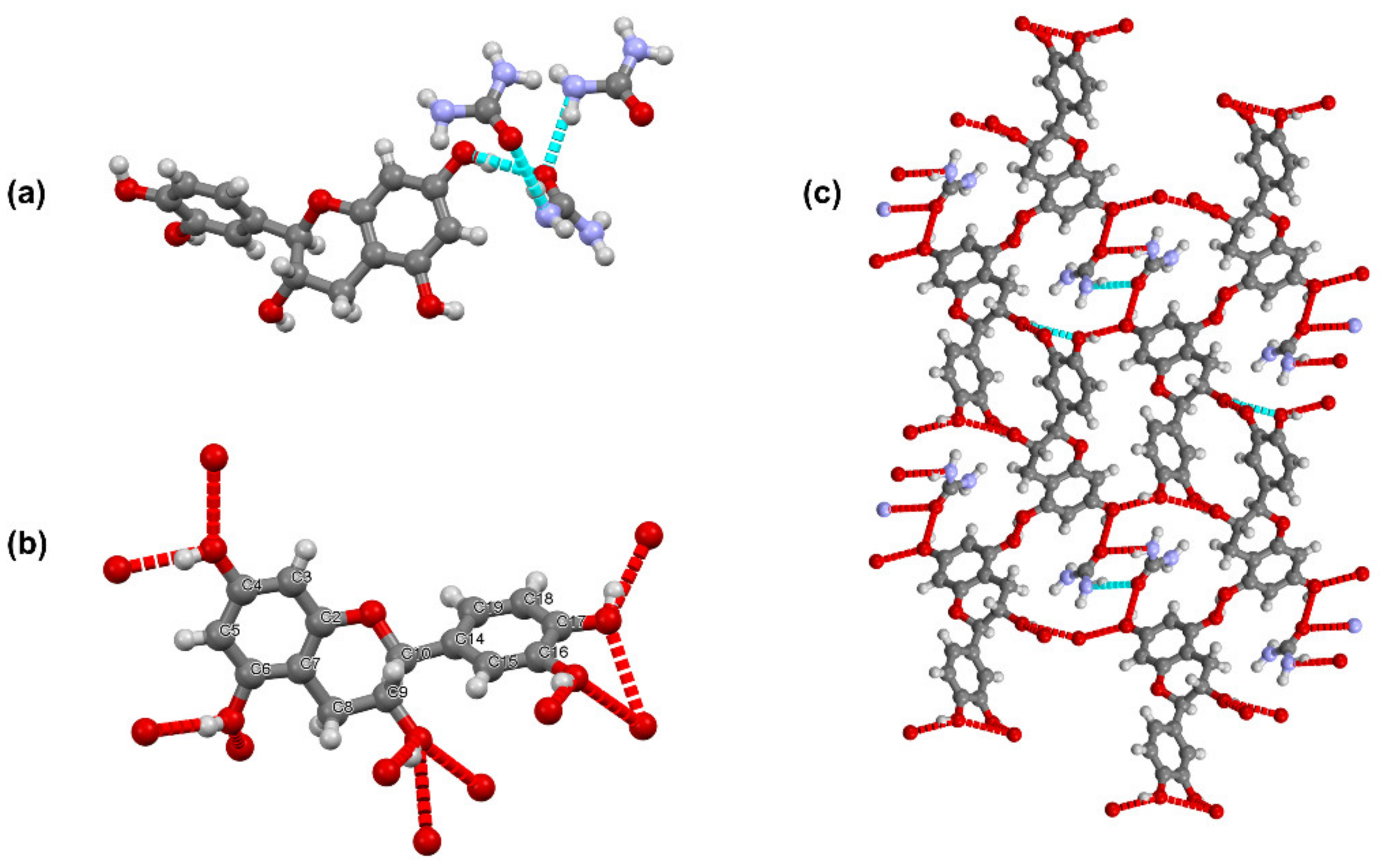 Pharmaceutics 13 00671 g002