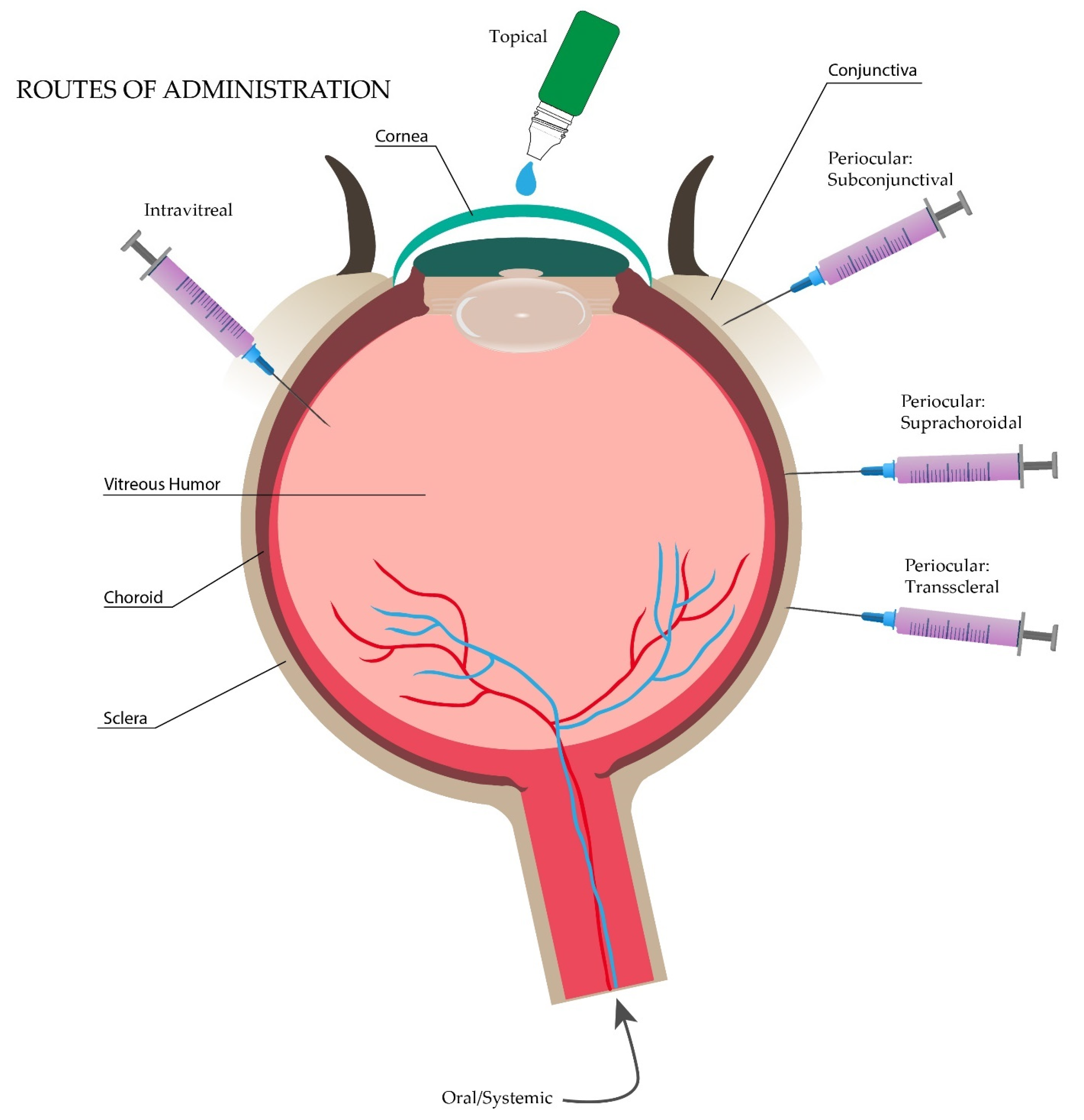 Pharmaceutics 13 00678 g003 Pharmaceutics 13 00678 g003