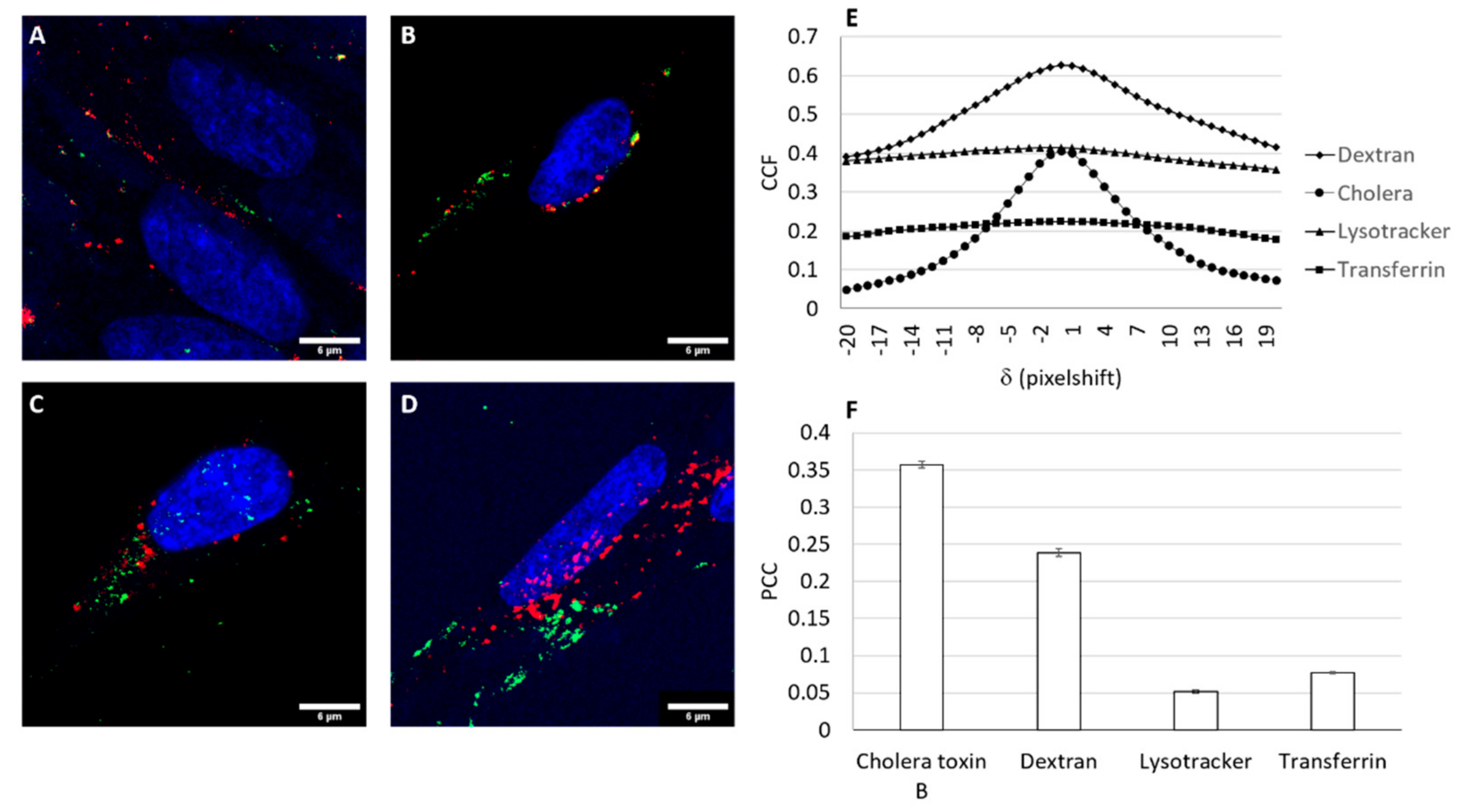 Pharmaceutics 13 00696 g005