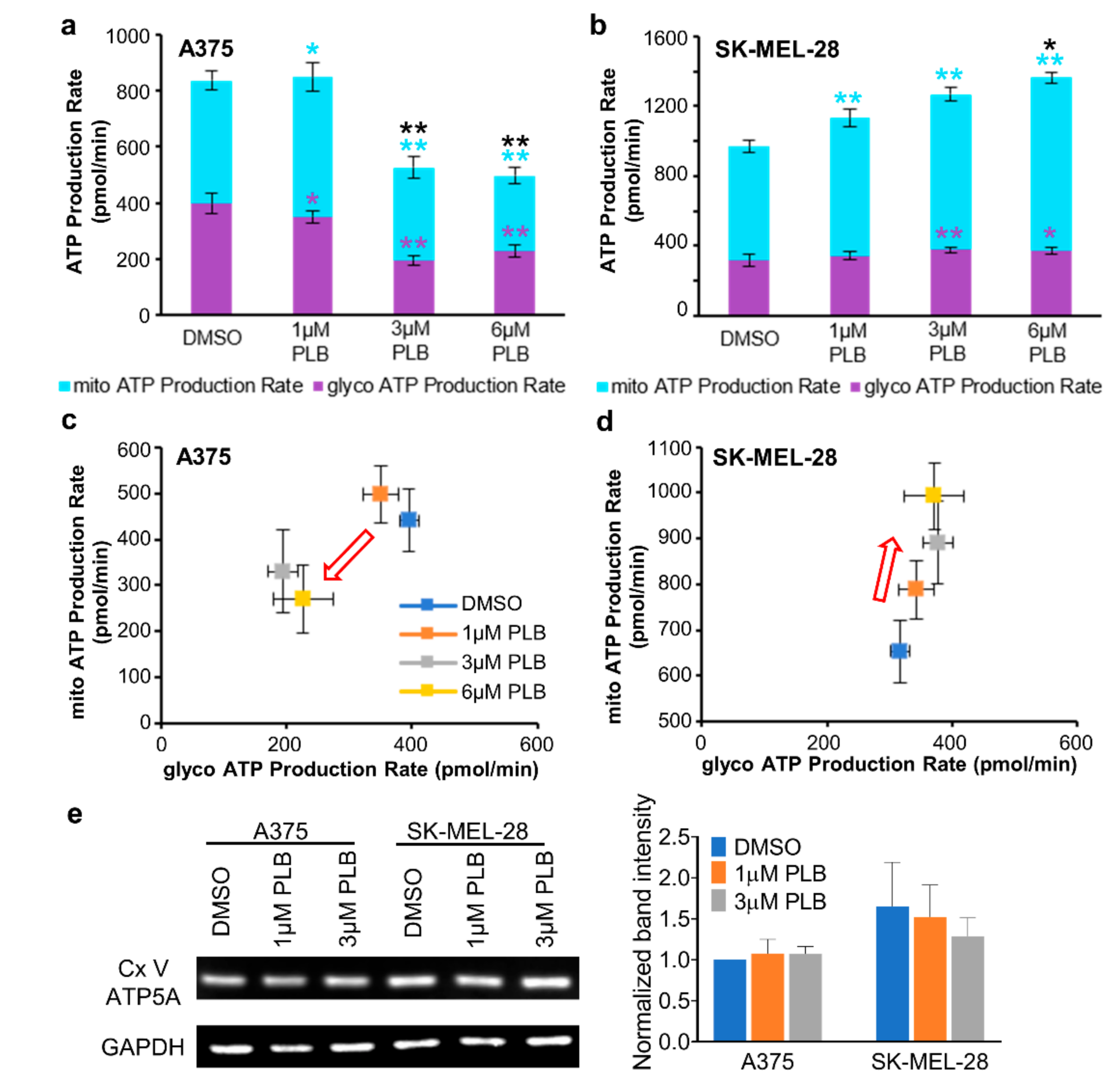 Pharmaceutics Free Full Text Plumbagin Elicits Cell Specific Cytotoxic Effects And Metabolic Responses In Melanoma Cells Html