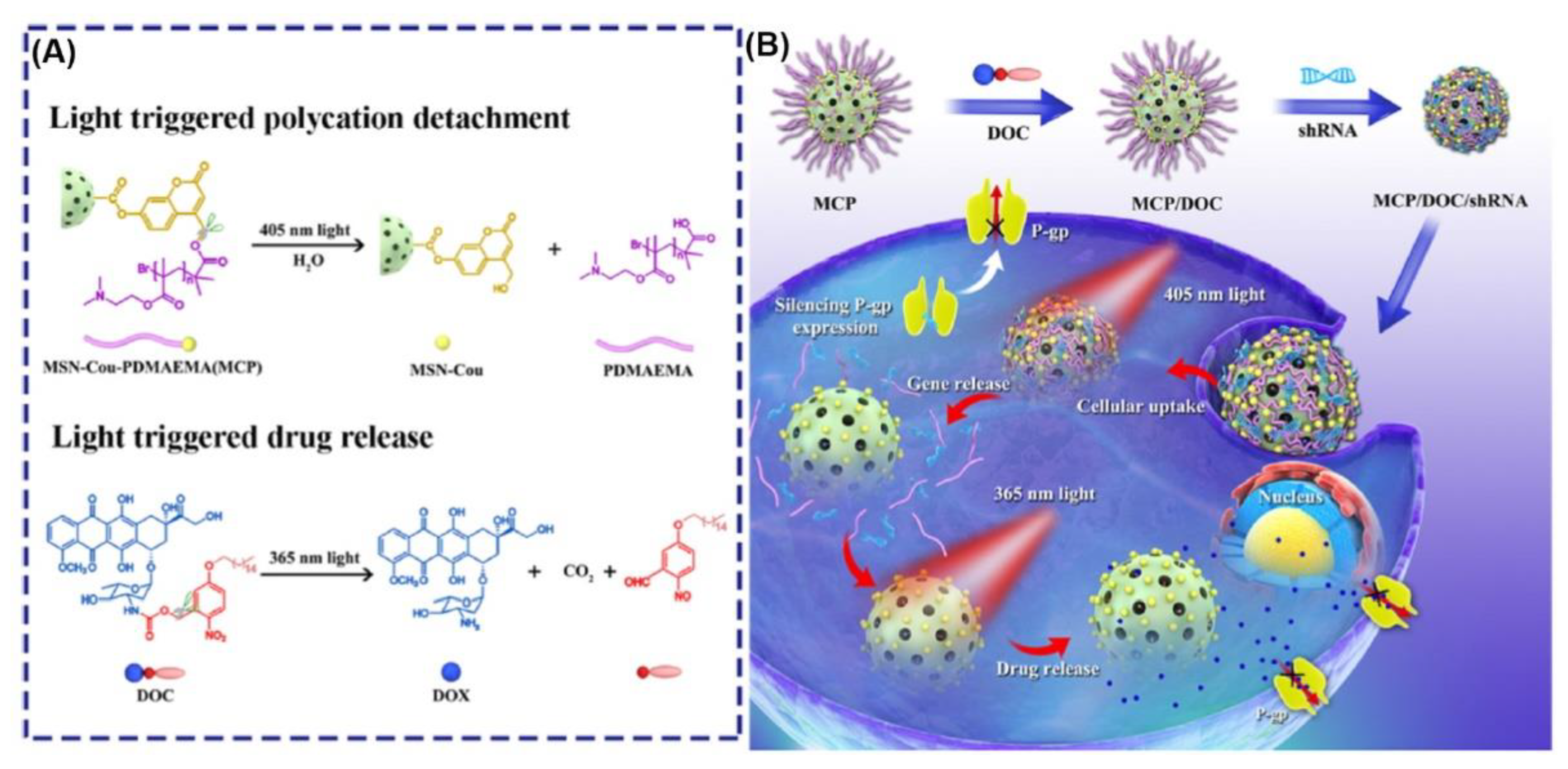 Pharmaceutics 13 00725 g002
